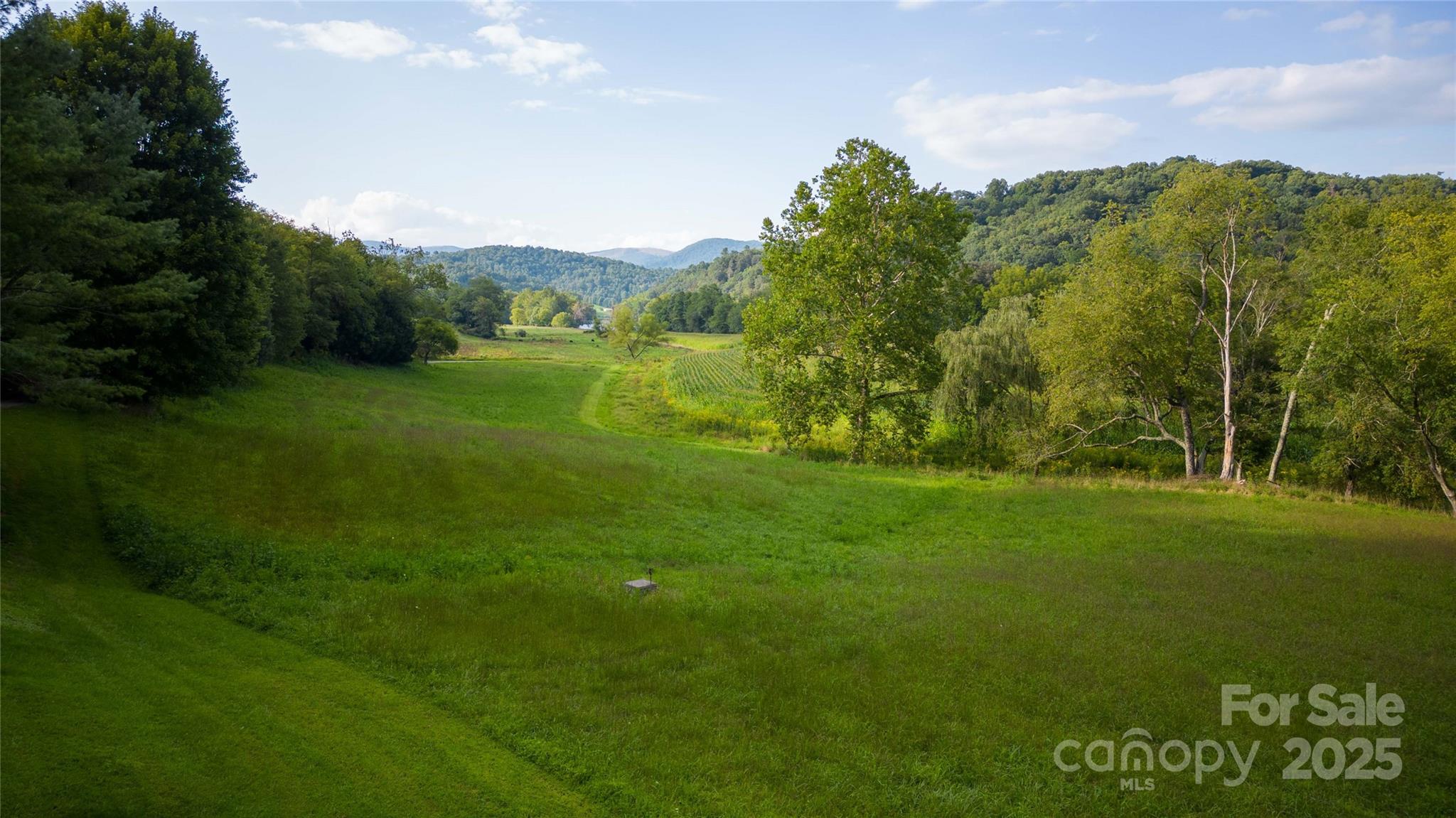 2161 River Bend Road — Mouth of Wilson