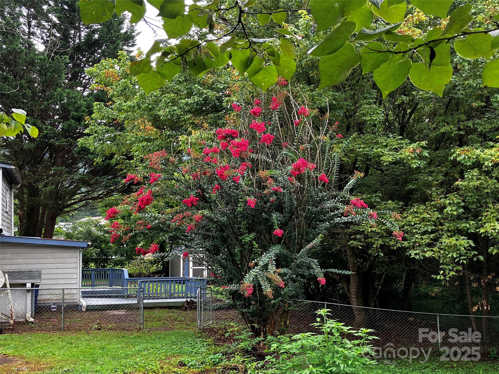120 Harrison Street — Swannanoa