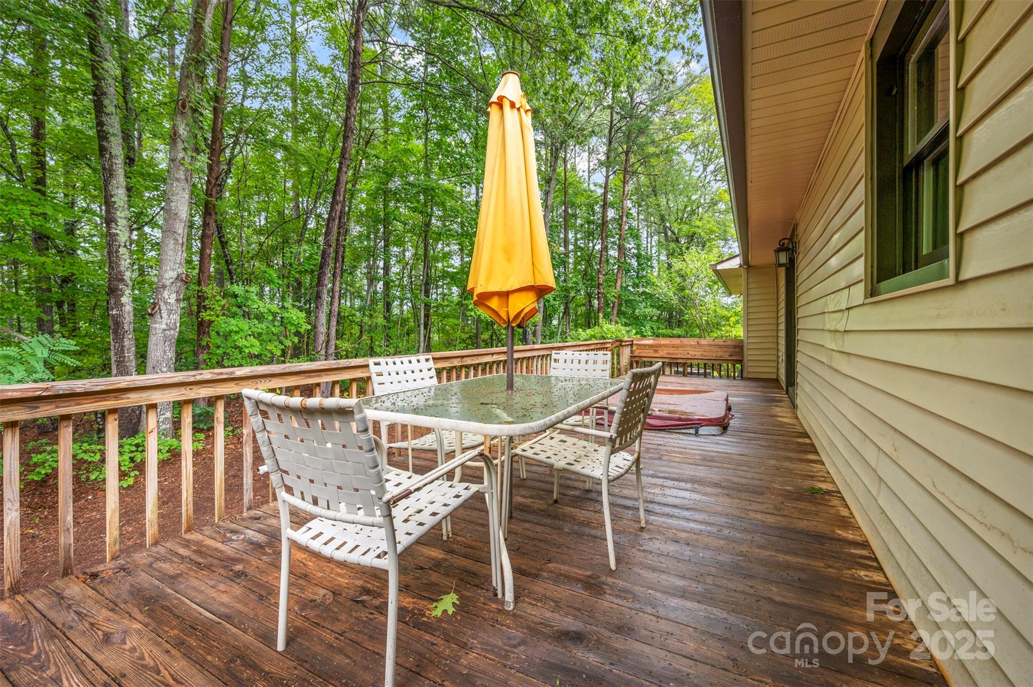 307 Owl Hollow Road — Mill Spring