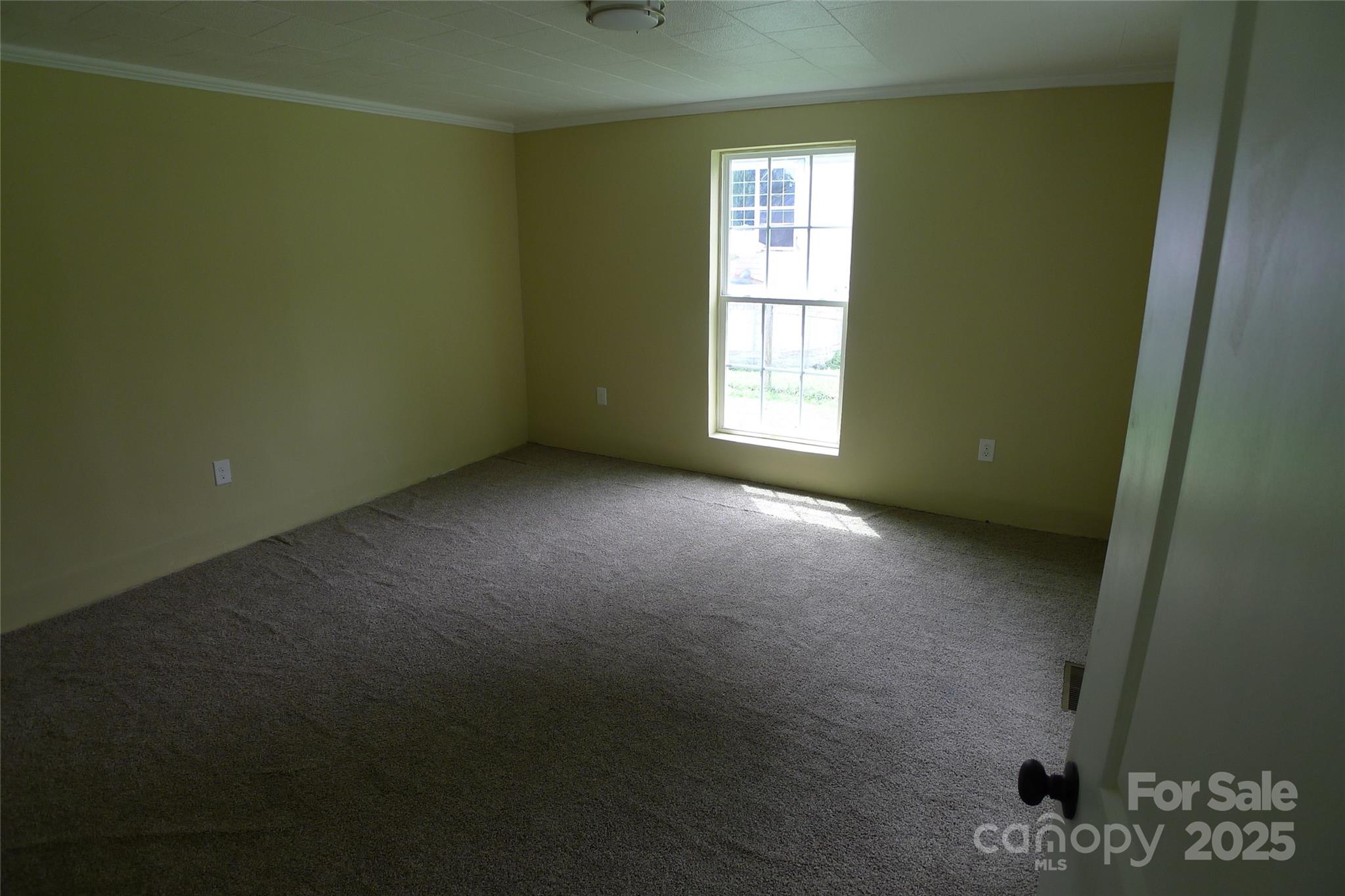 816 Olympia Street #292 — Lexington
