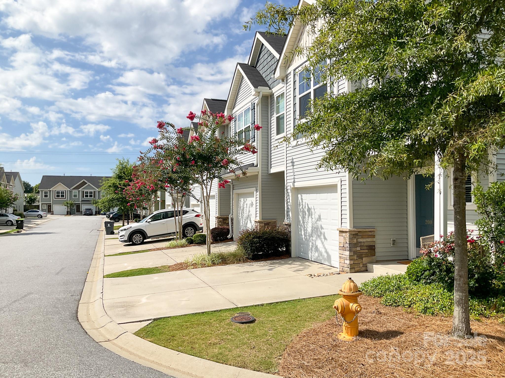 200 Button Willow Street — Taylors