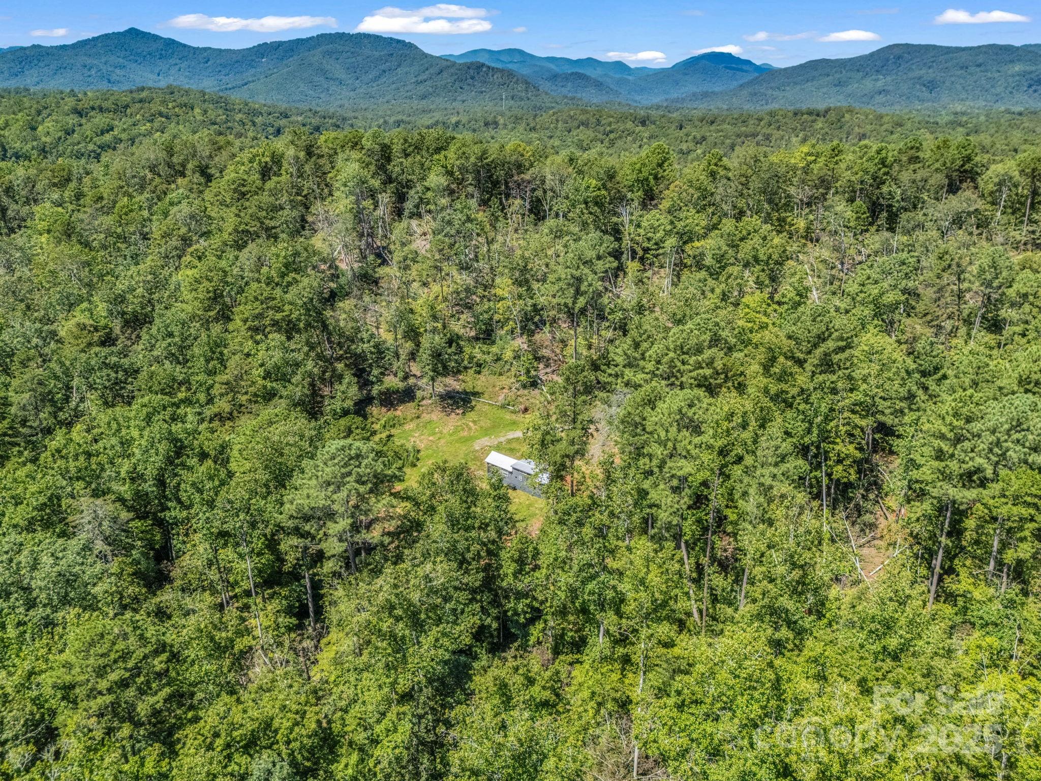 231 Wandering Bear Way — Lake Lure