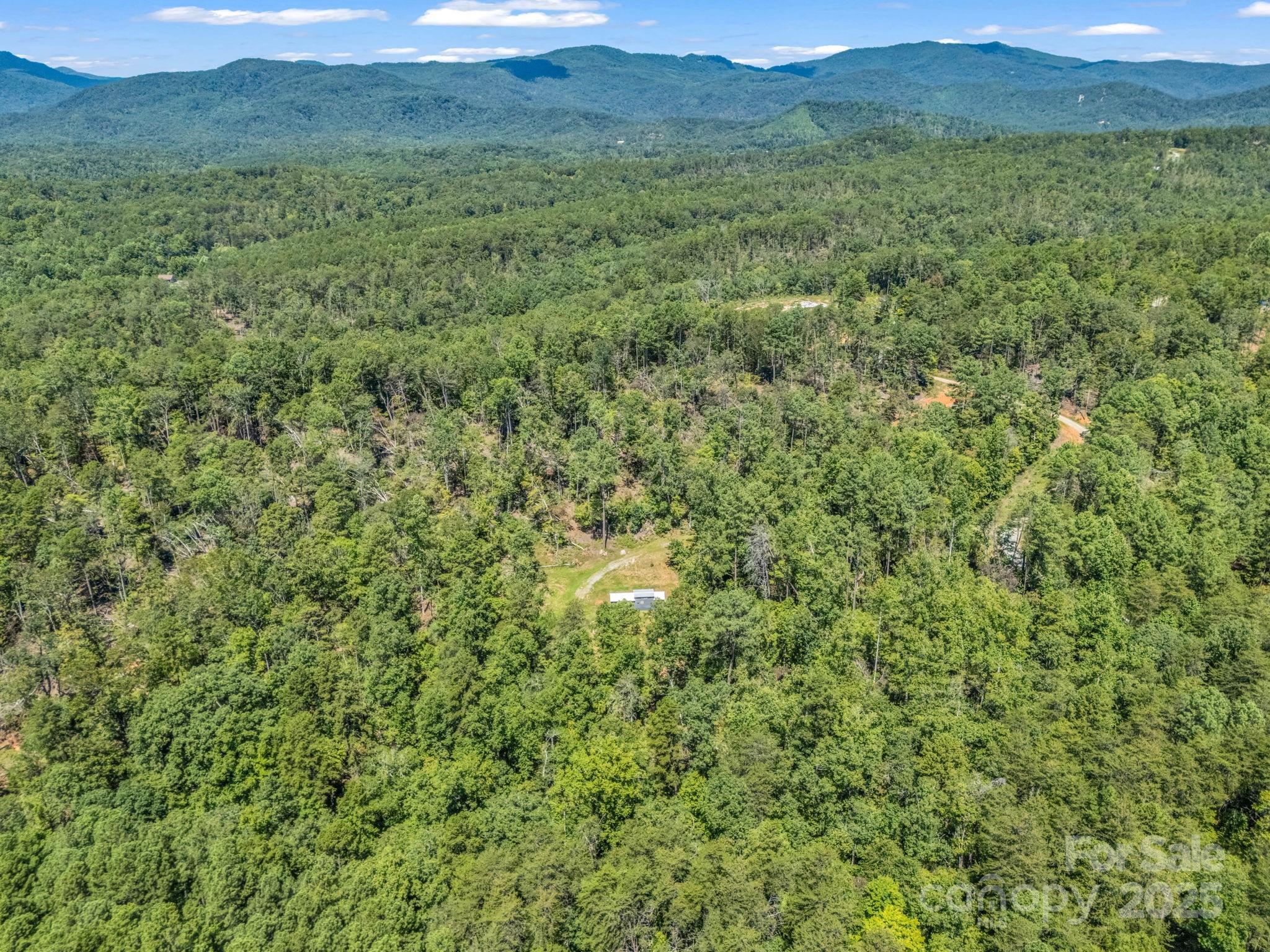 231 Wandering Bear Way — Lake Lure