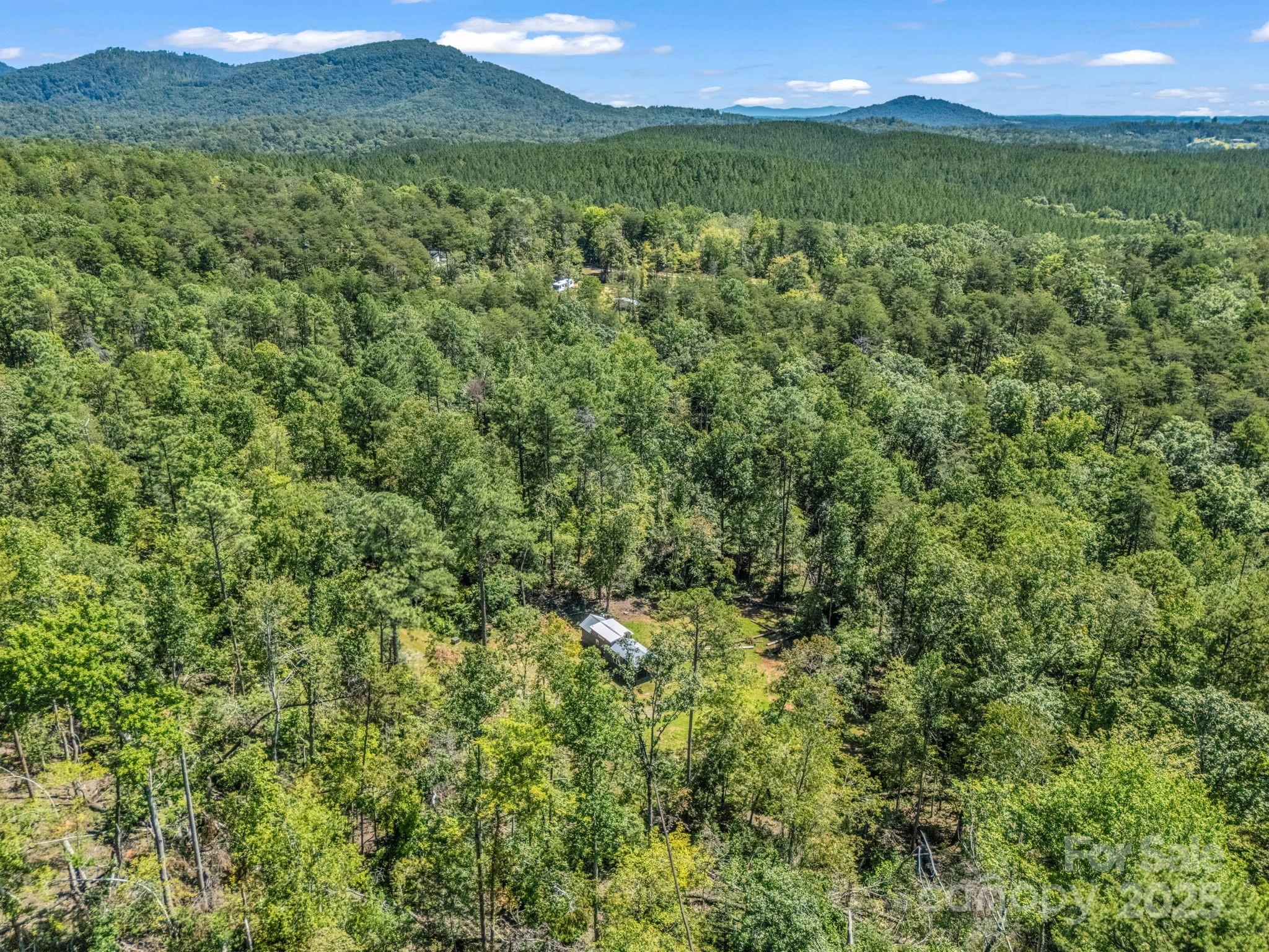 231 Wandering Bear Way — Lake Lure