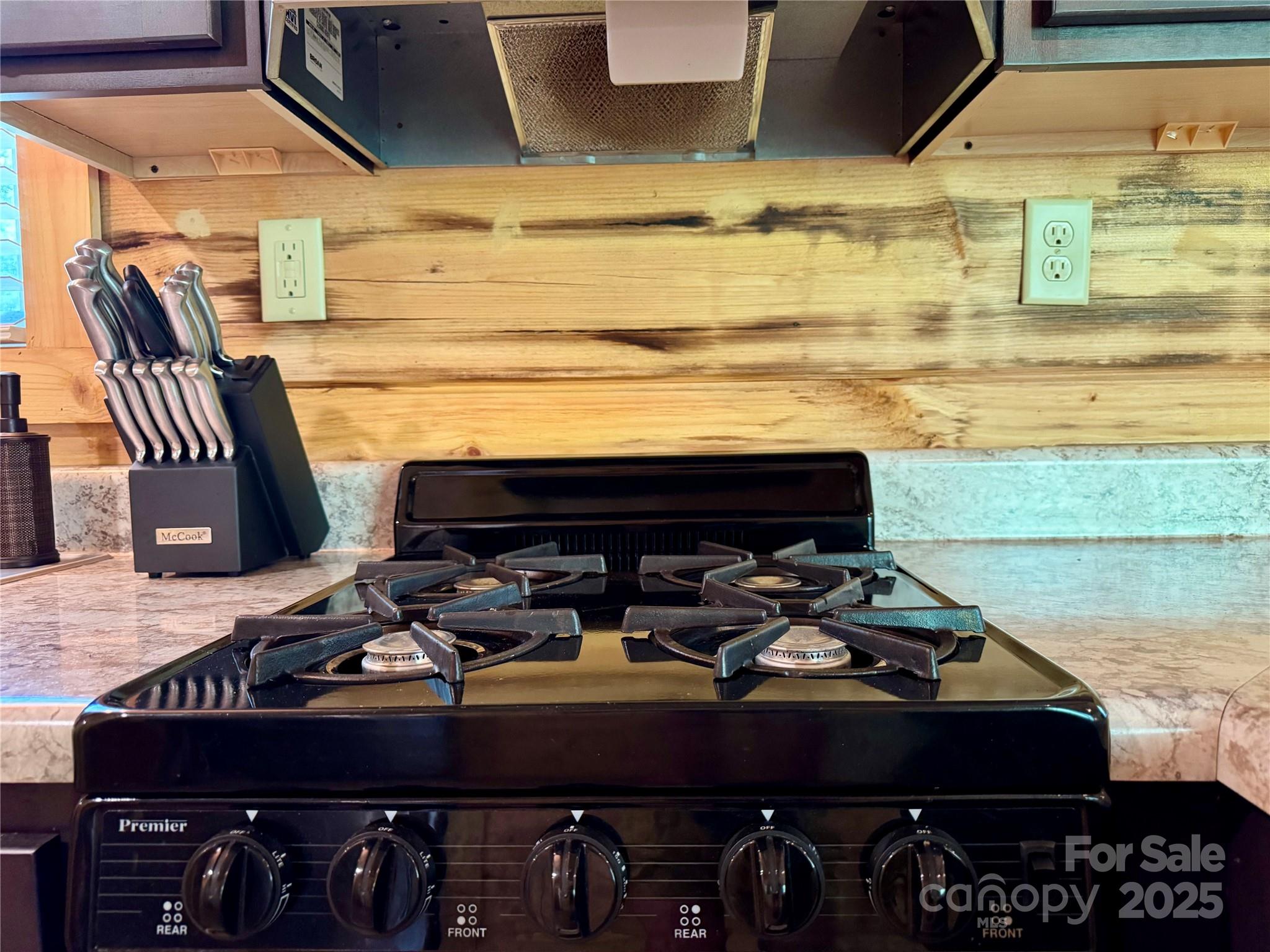 231 Wandering Bear Way — Lake Lure