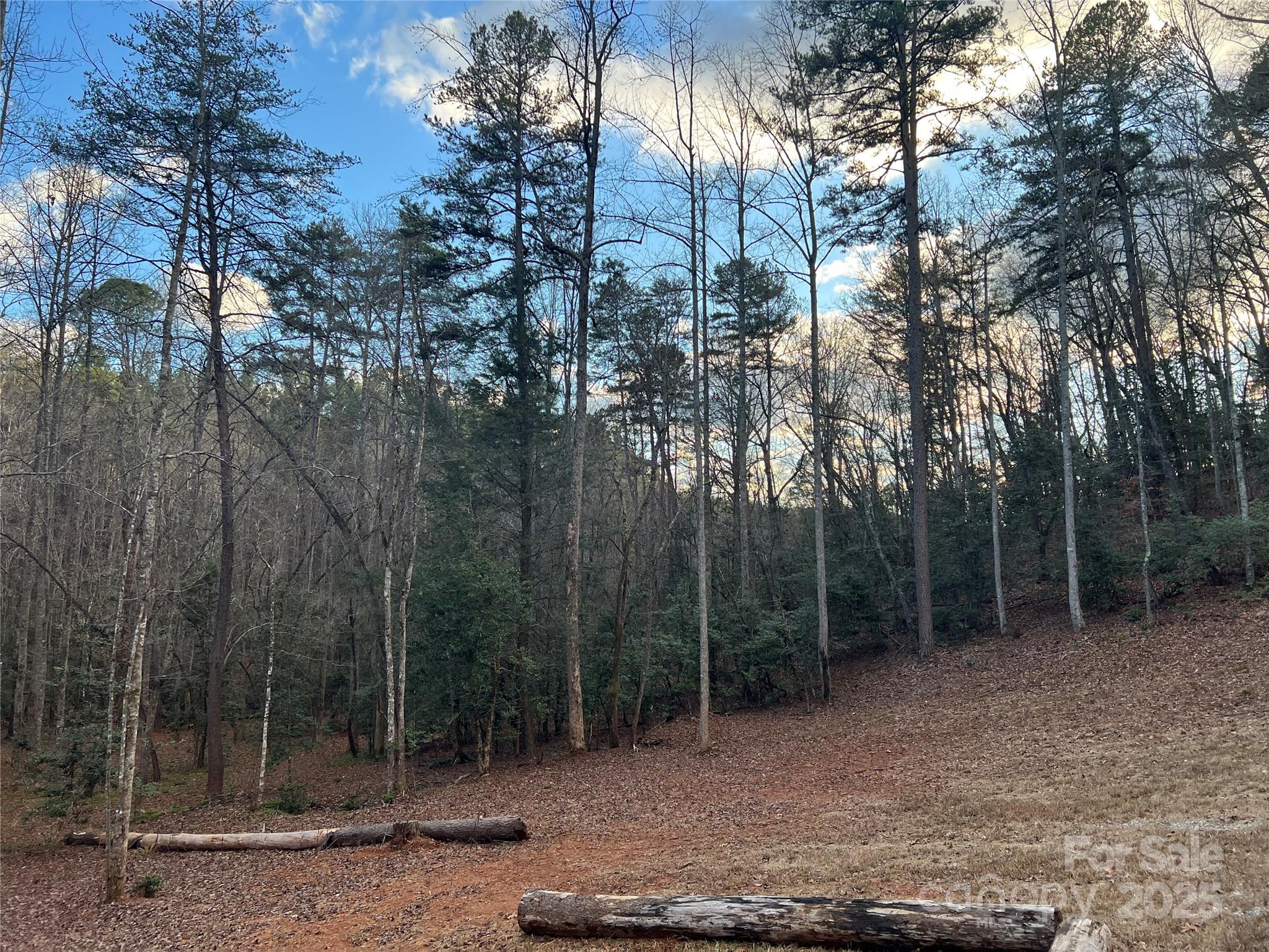 231 Wandering Bear Way — Lake Lure