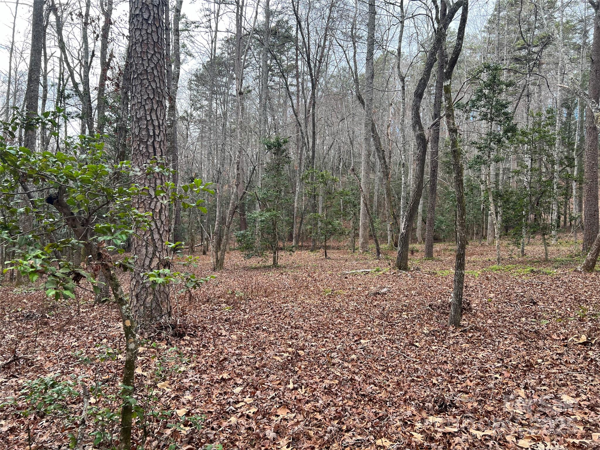 231 Wandering Bear Way — Lake Lure