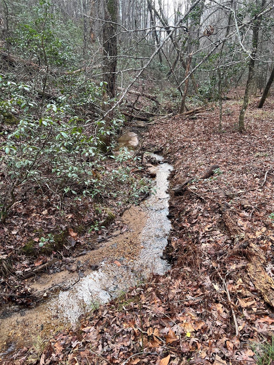 231 Wandering Bear Way — Lake Lure