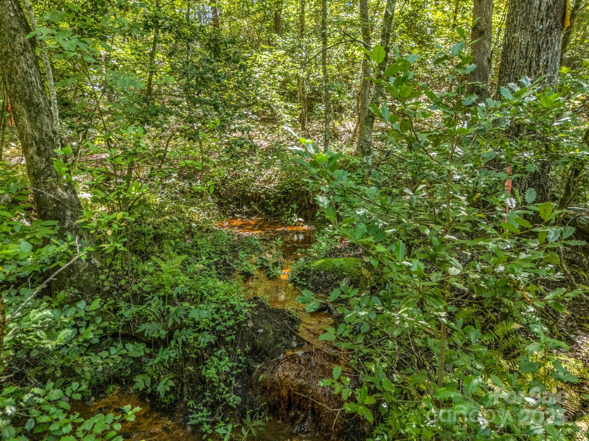 231 Wandering Bear Way — Lake Lure