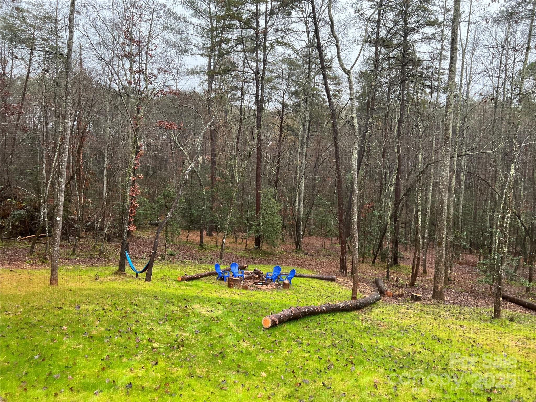 231 Wandering Bear Way — Lake Lure