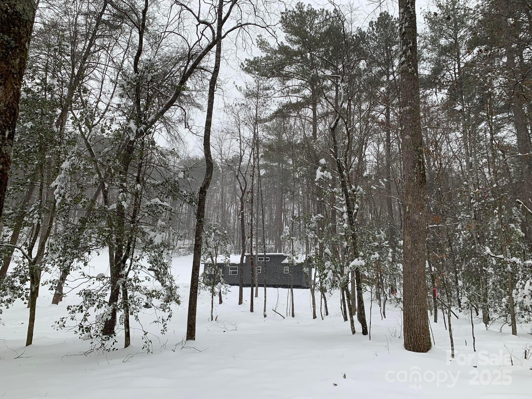 231 Wandering Bear Way — Lake Lure