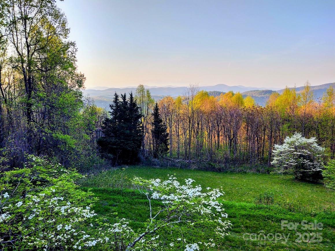 545 Summit Road — Tryon