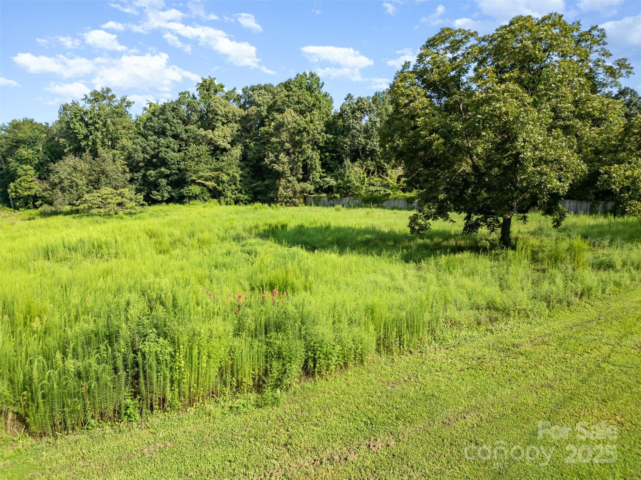 1932 Slater Road — Charlotte
