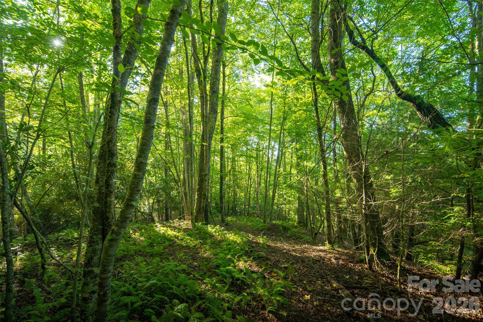 TBD Boulder Creek Drive #1 — Boone