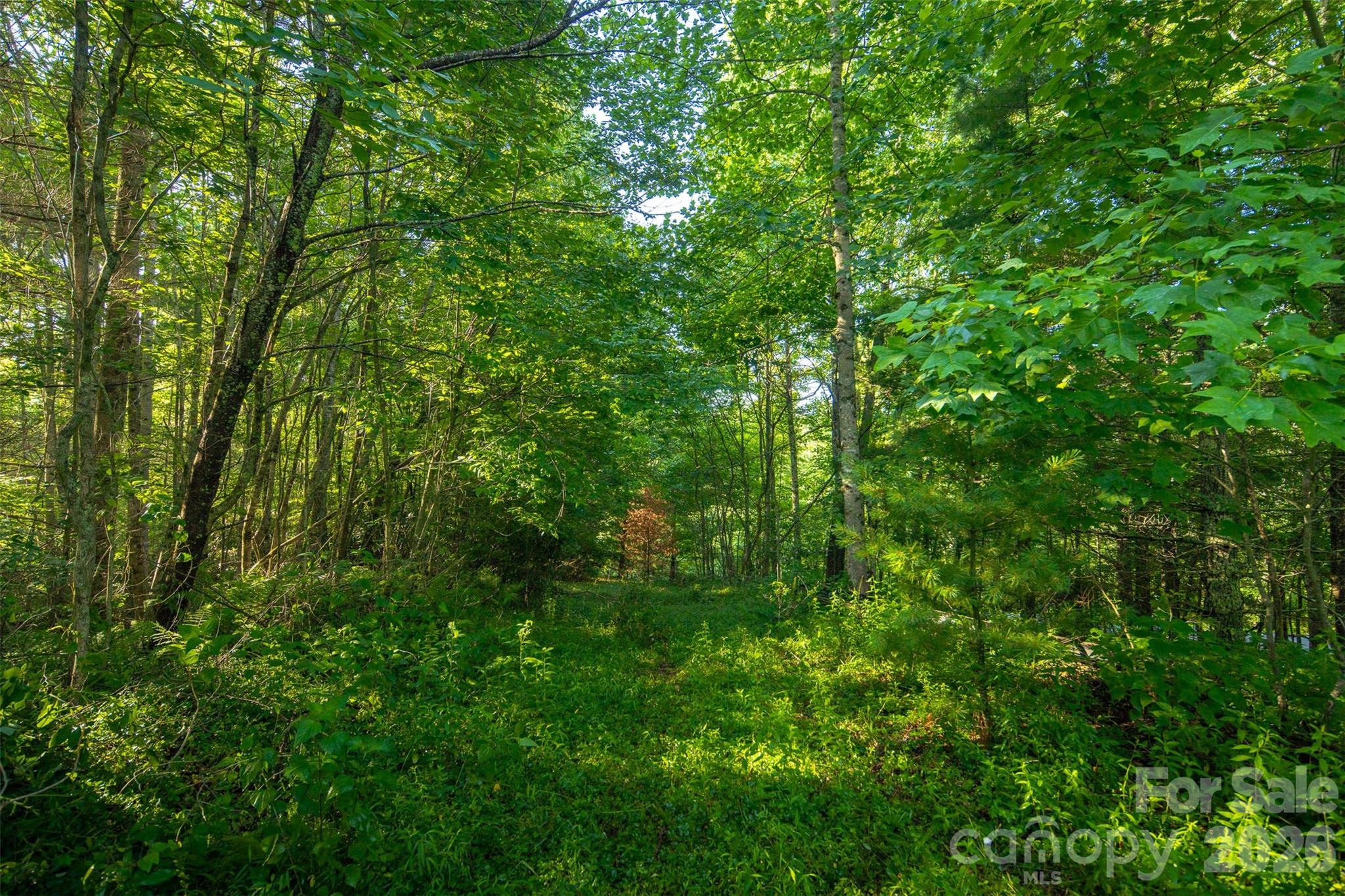TBD Boulder Creek Drive #1 — Boone