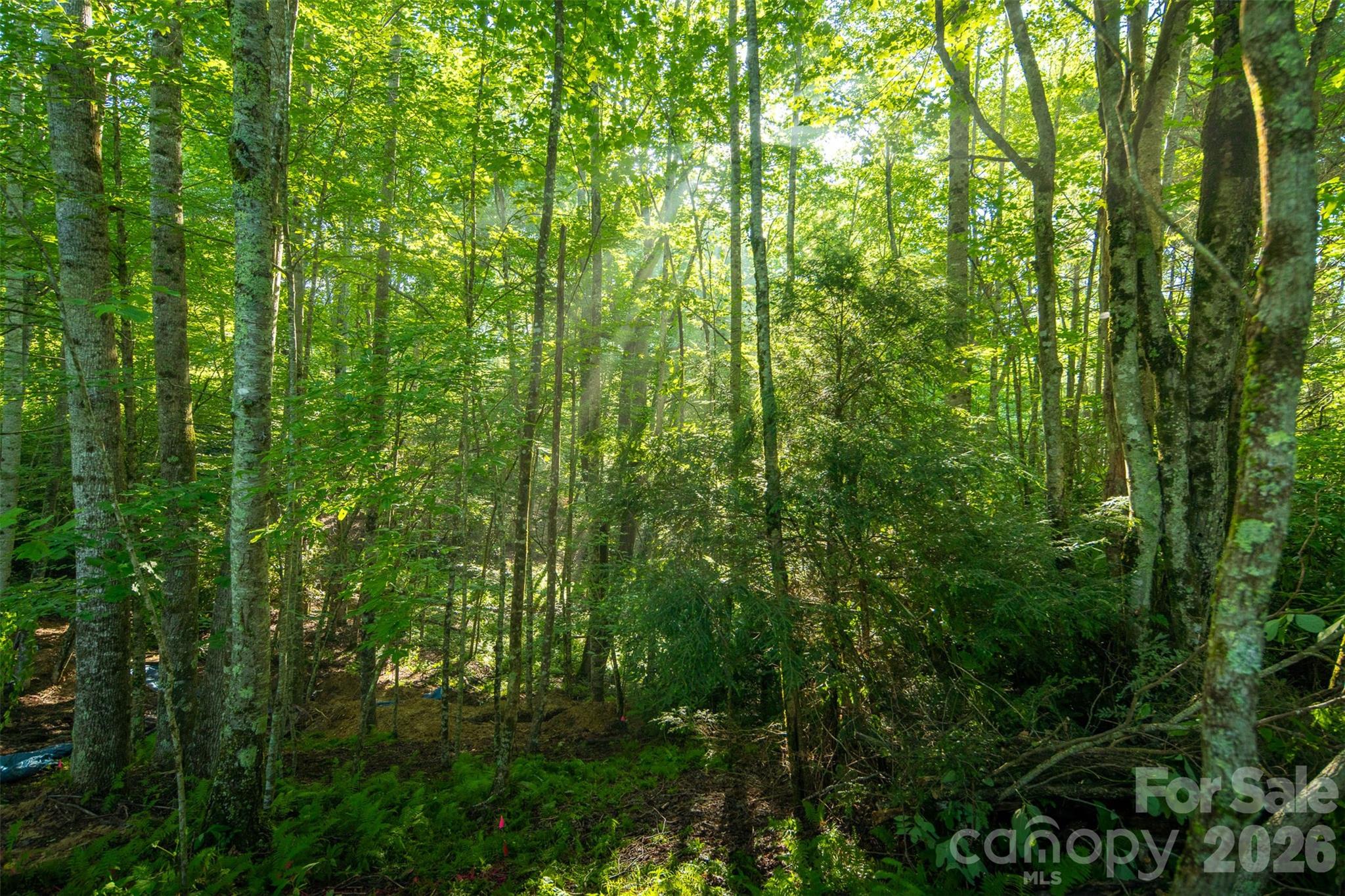 TBD Boulder Creek Drive #1 — Boone