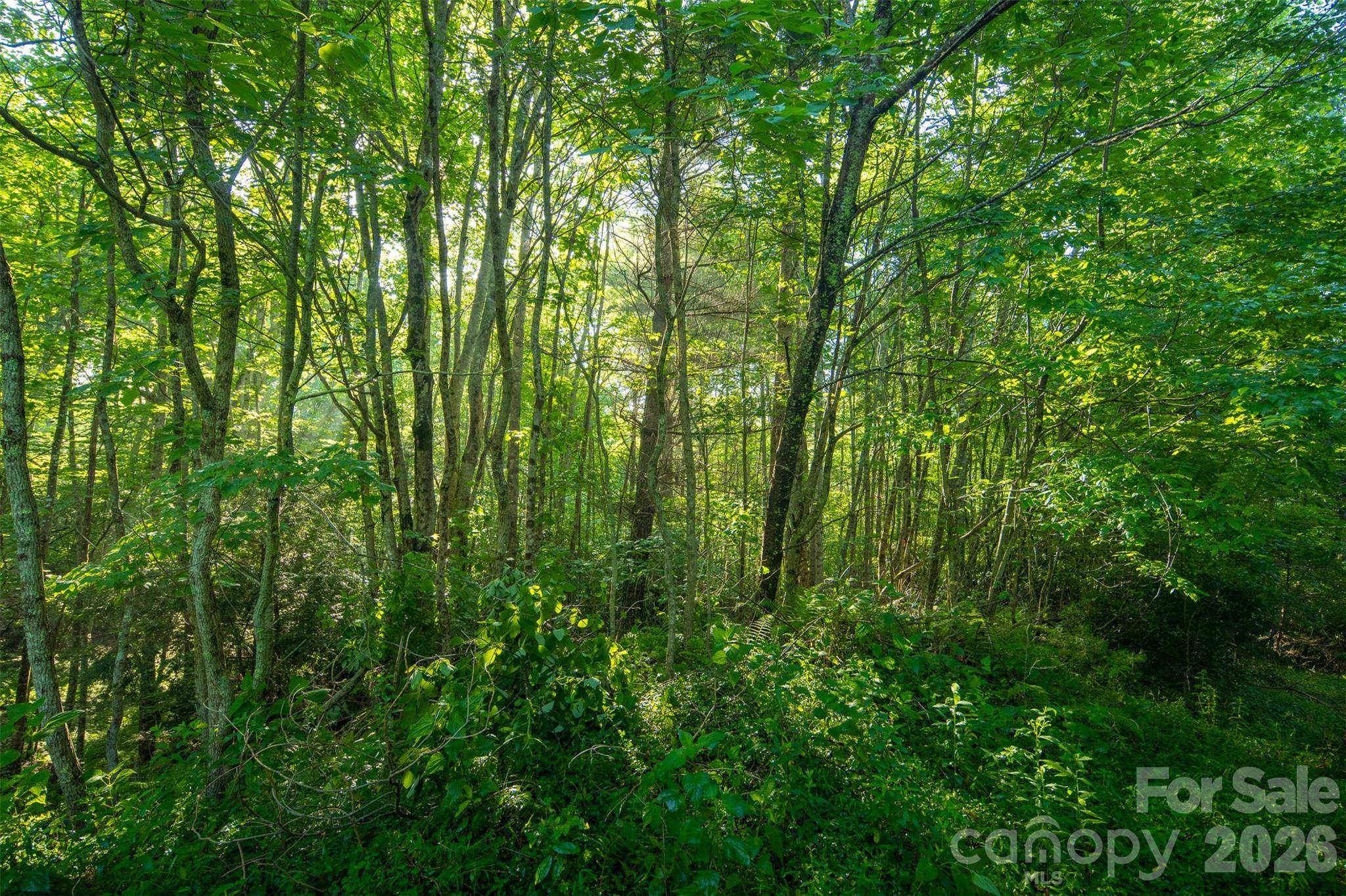 TBD Boulder Creek Drive #1 — Boone