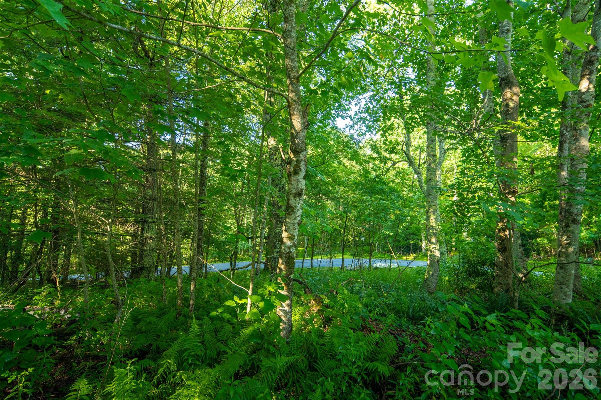 TBD Boulder Creek Drive #1 — Boone