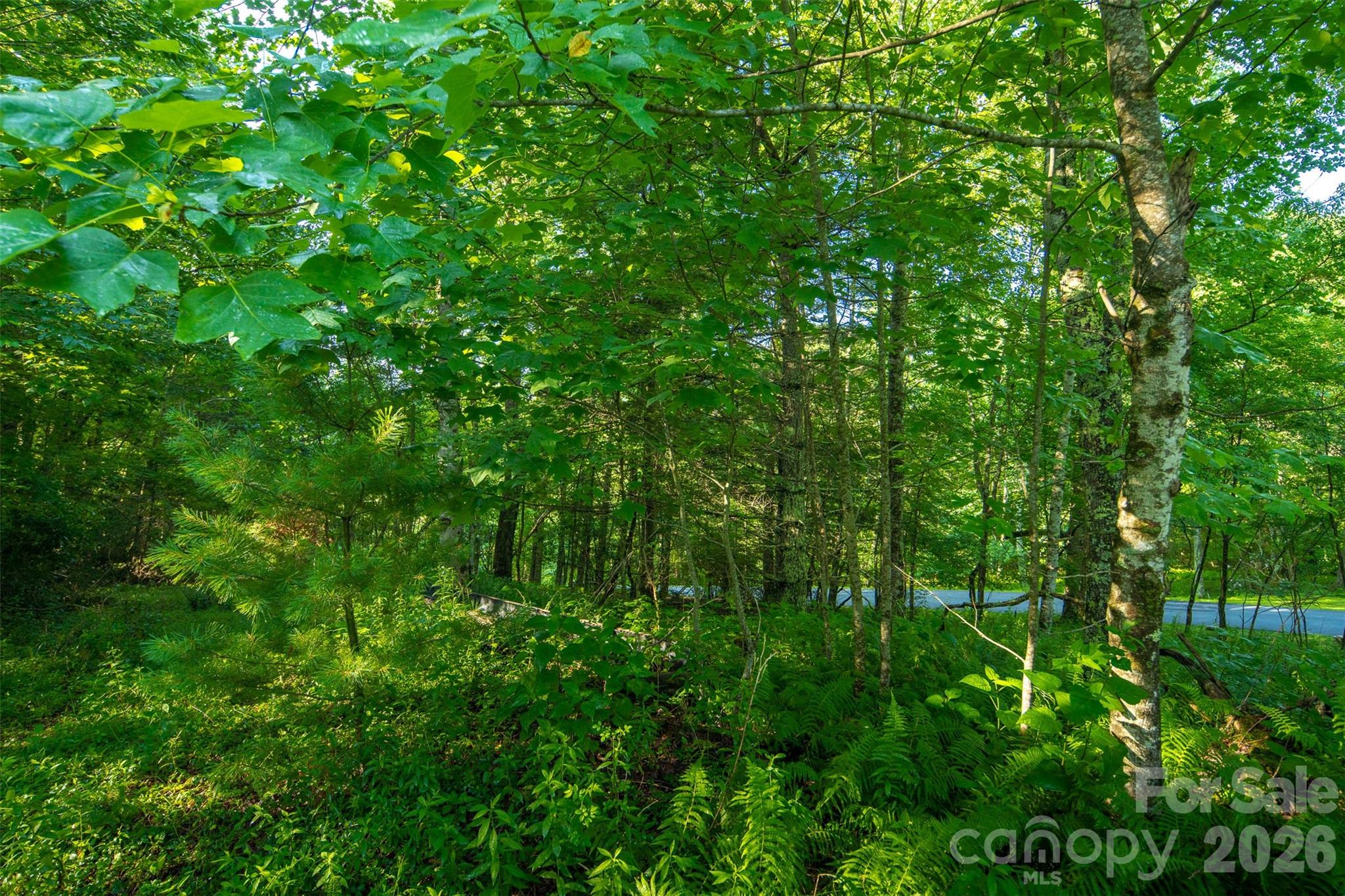 TBD Boulder Creek Drive #1 — Boone