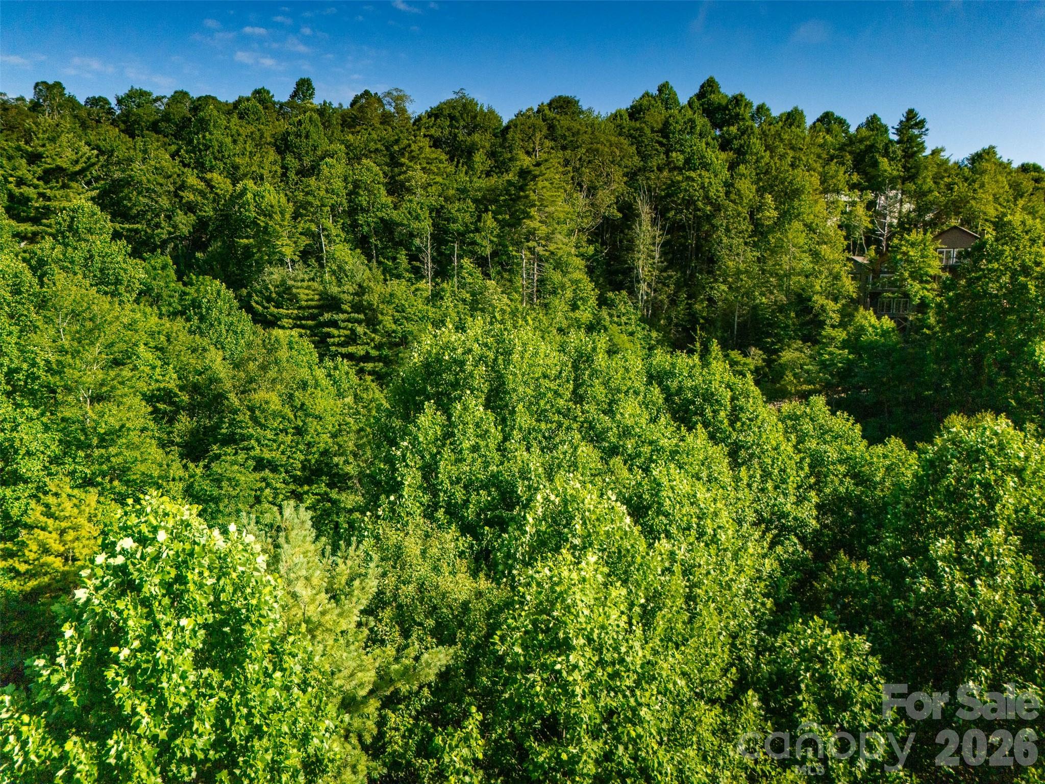 TBD Boulder Creek Drive #1 — Boone