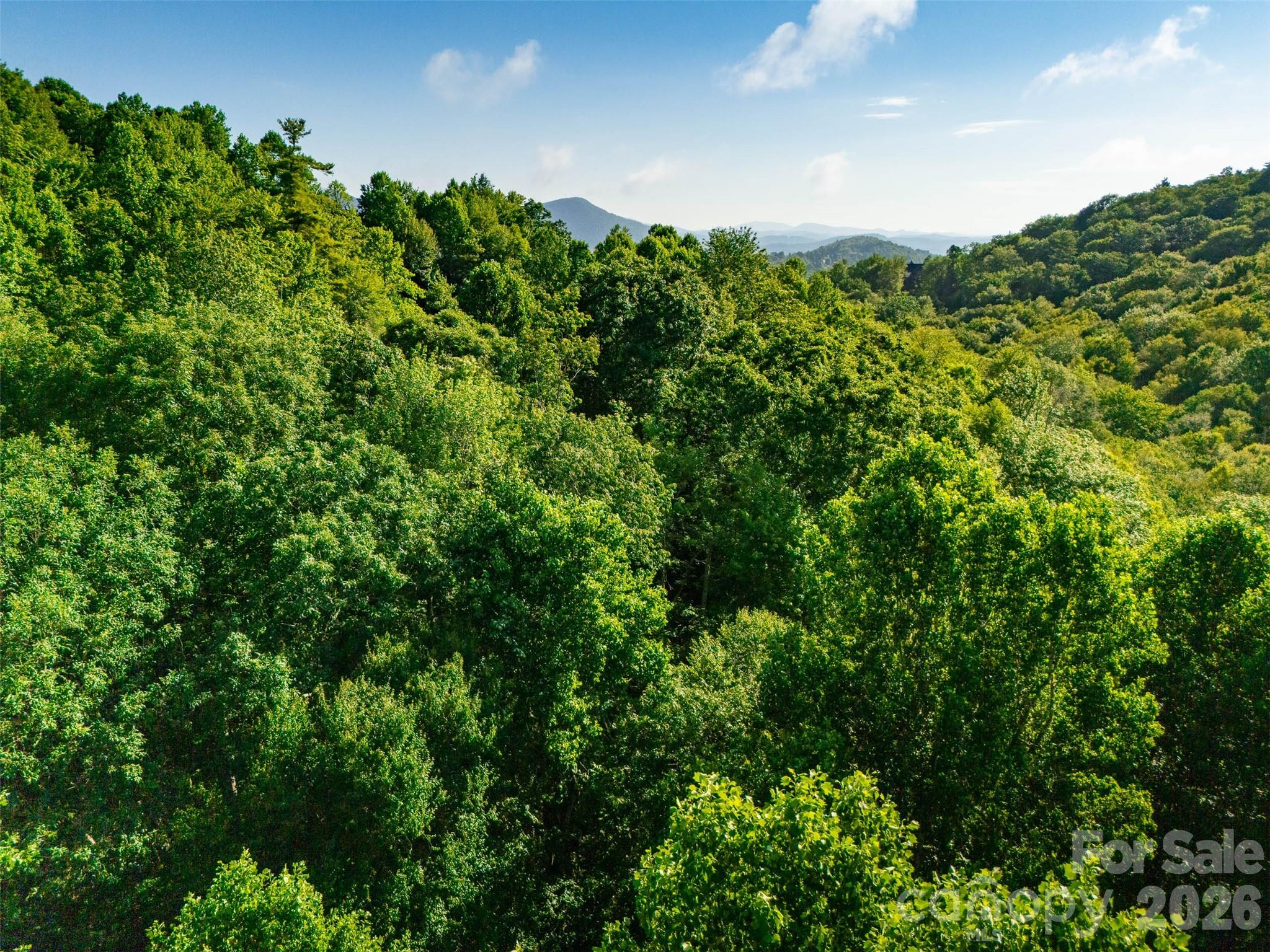 TBD Boulder Creek Drive #1 — Boone