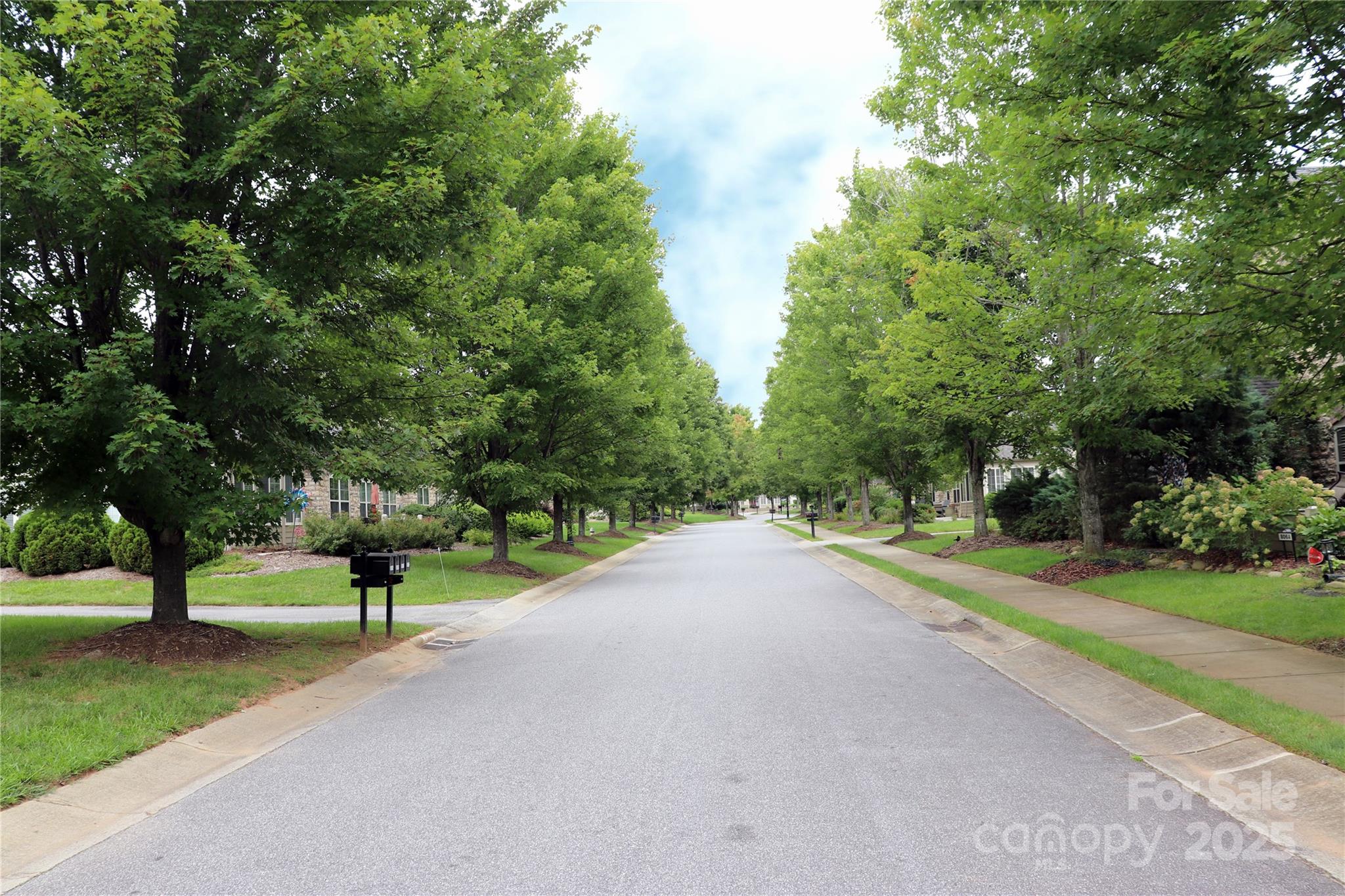 805 Wynnshire Drive #805-C — Hickory