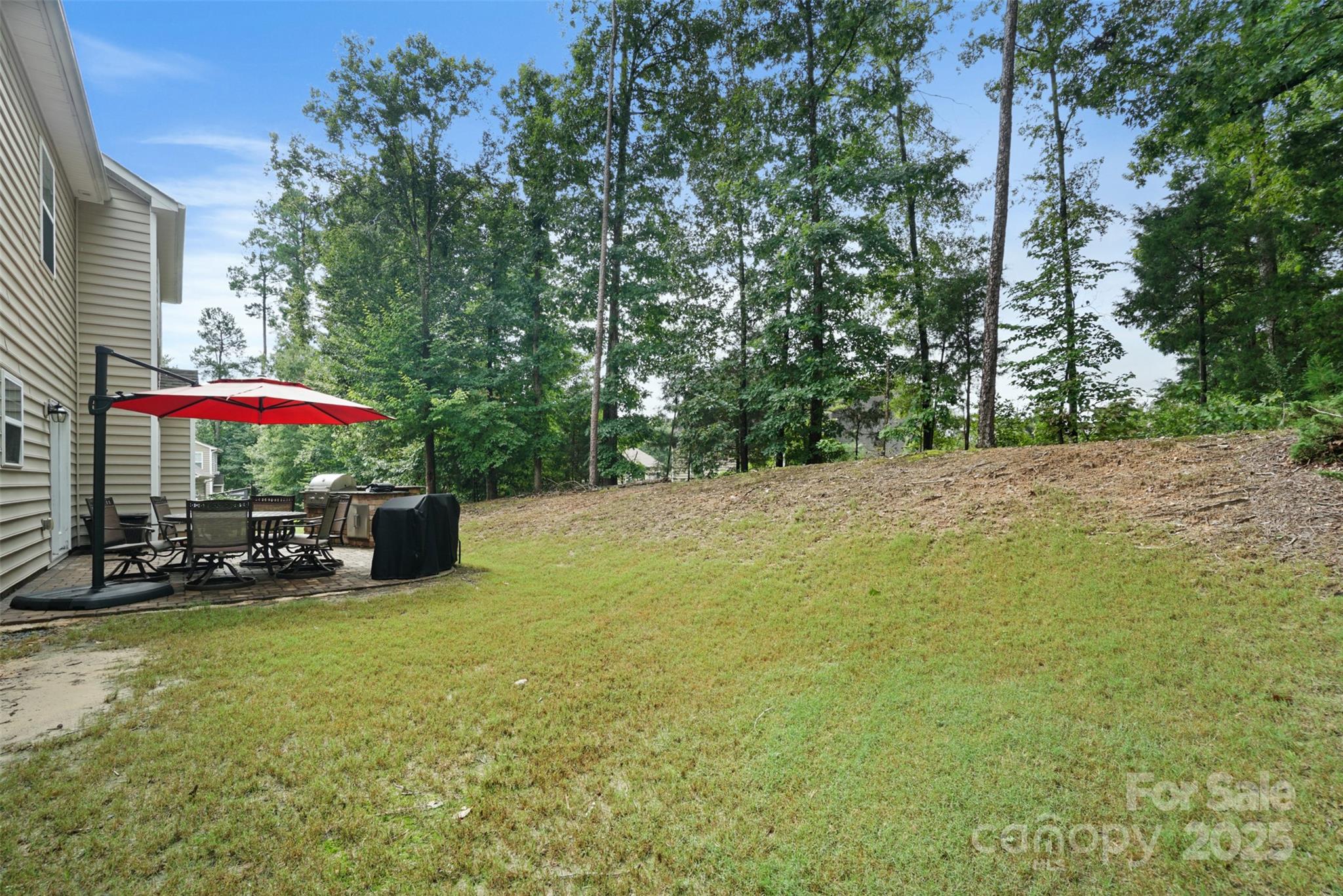 10997 Alabaster Drive — Davidson