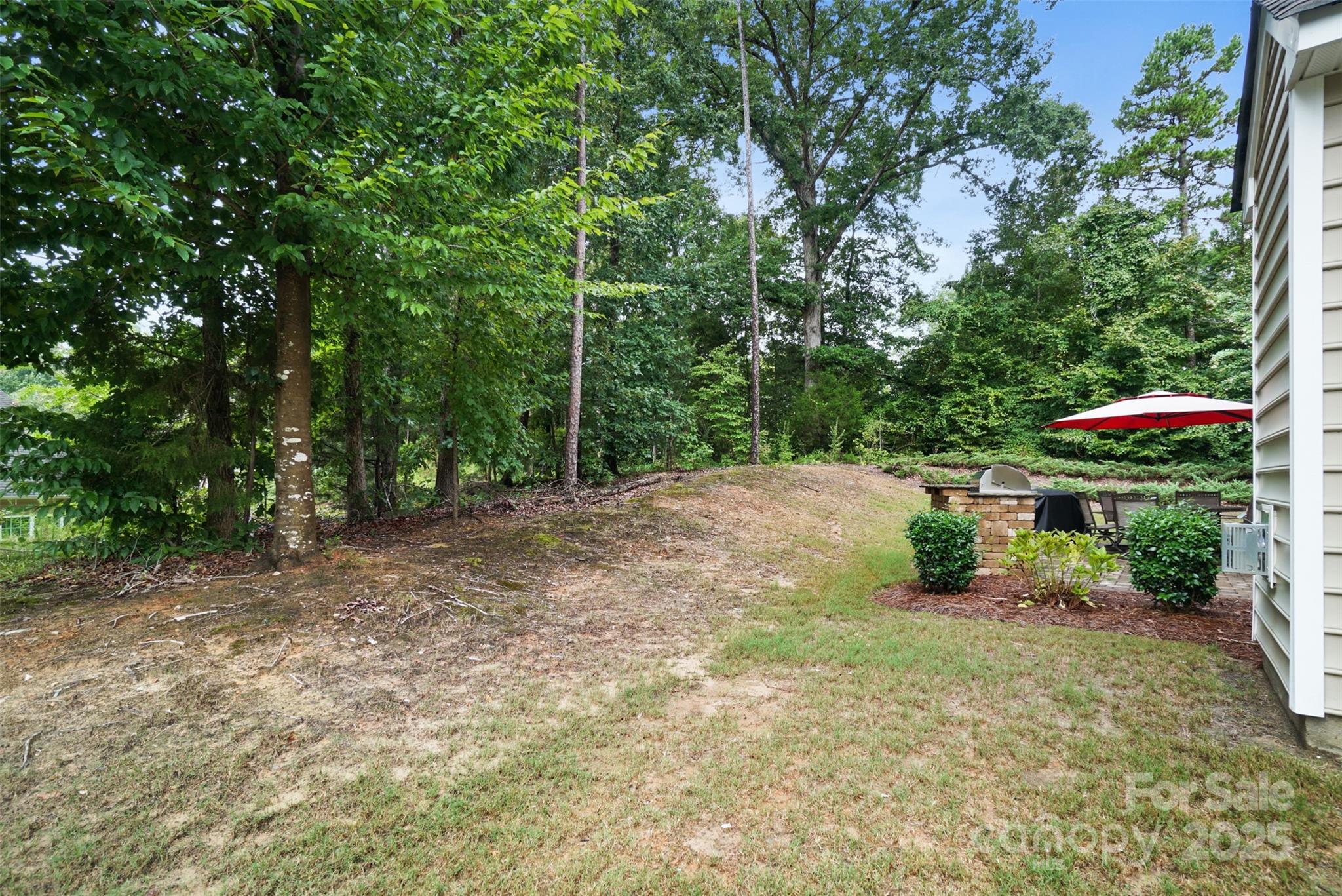 10997 Alabaster Drive — Davidson