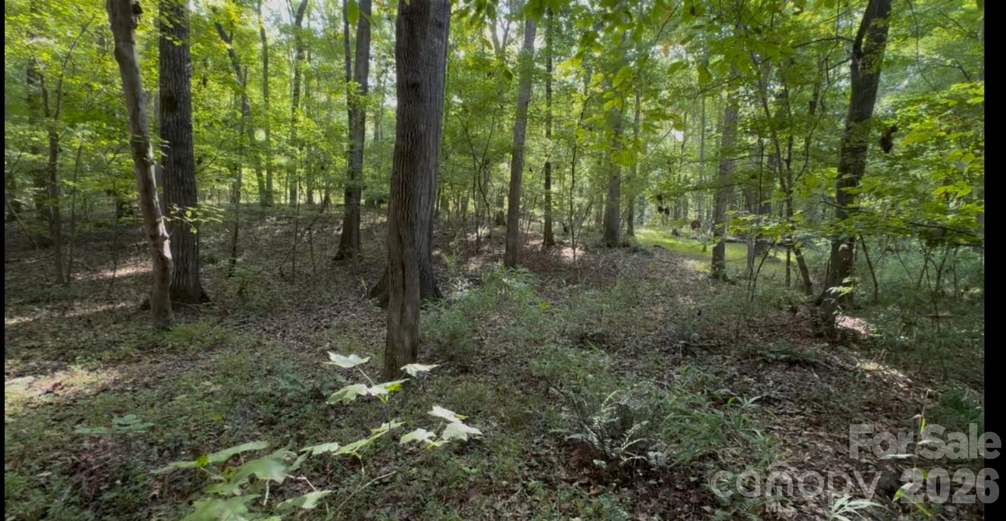 1402 Bloomsberry Lane — Waxhaw
