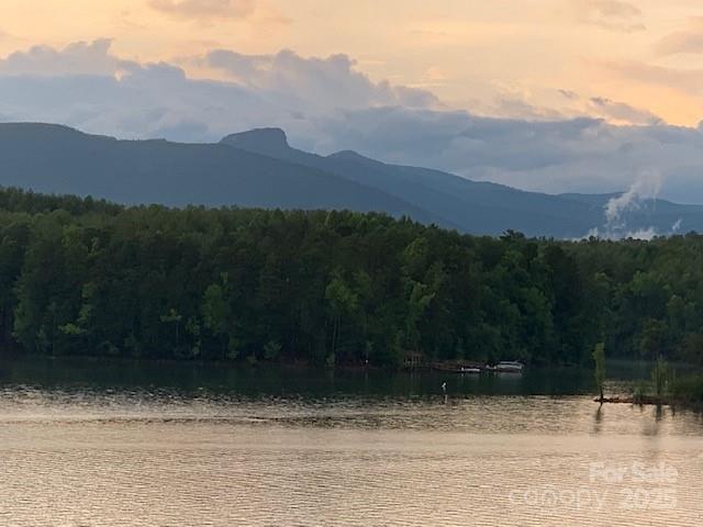 5140 Beech Bluff Drive — Morganton