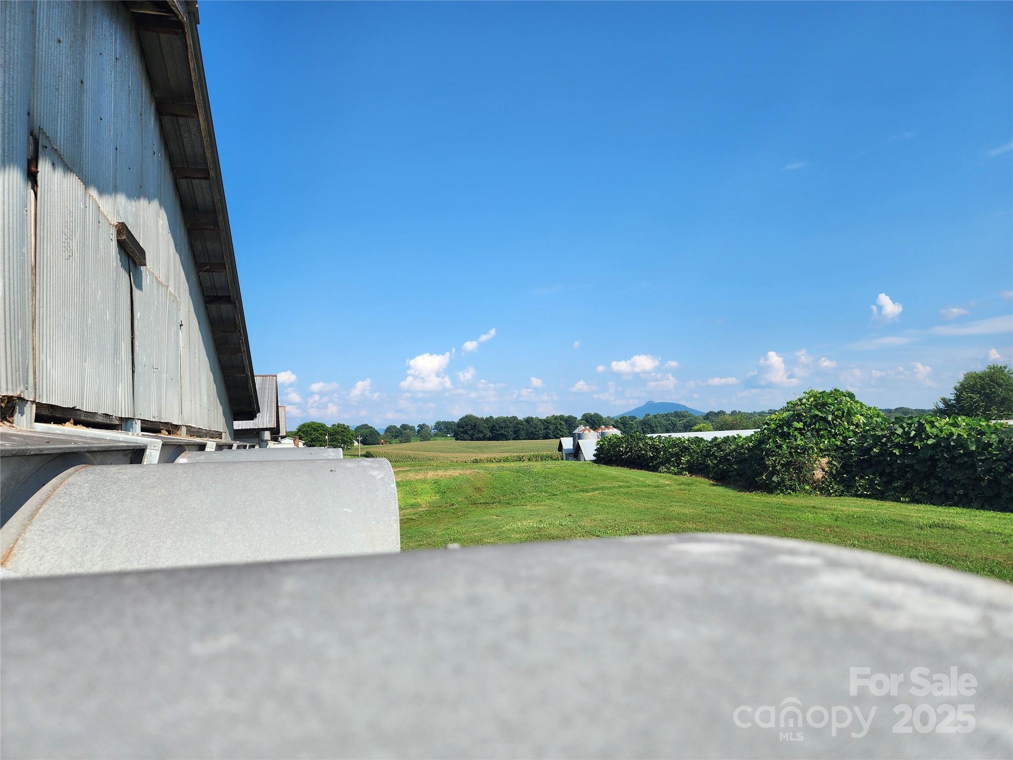 167 Buck Hollow Trail — Ararat