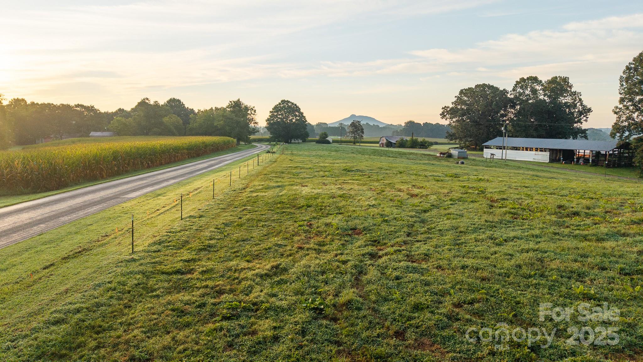 167 Buck Hollow Trail — Ararat