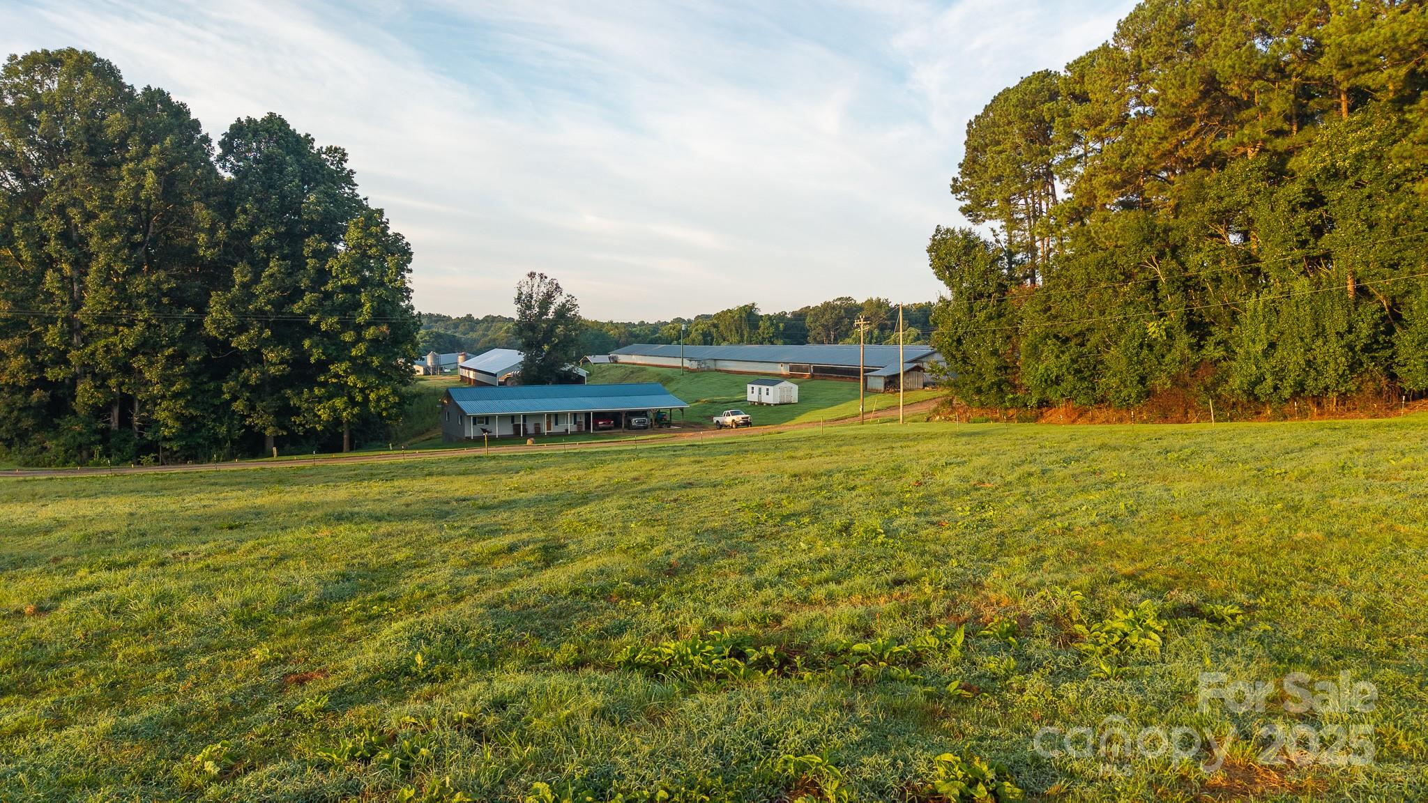 167 Buck Hollow Trail — Ararat