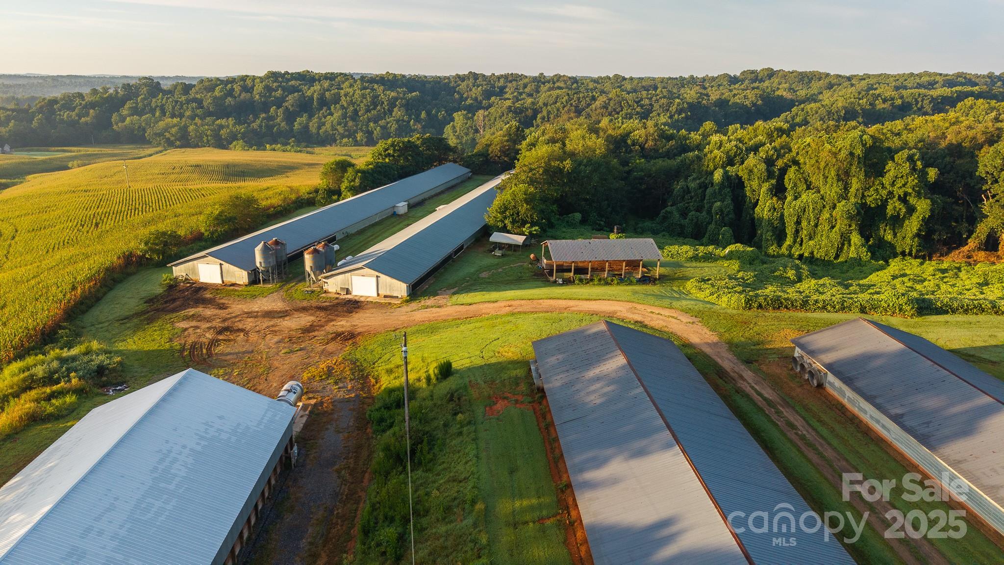 167 Buck Hollow Trail — Ararat