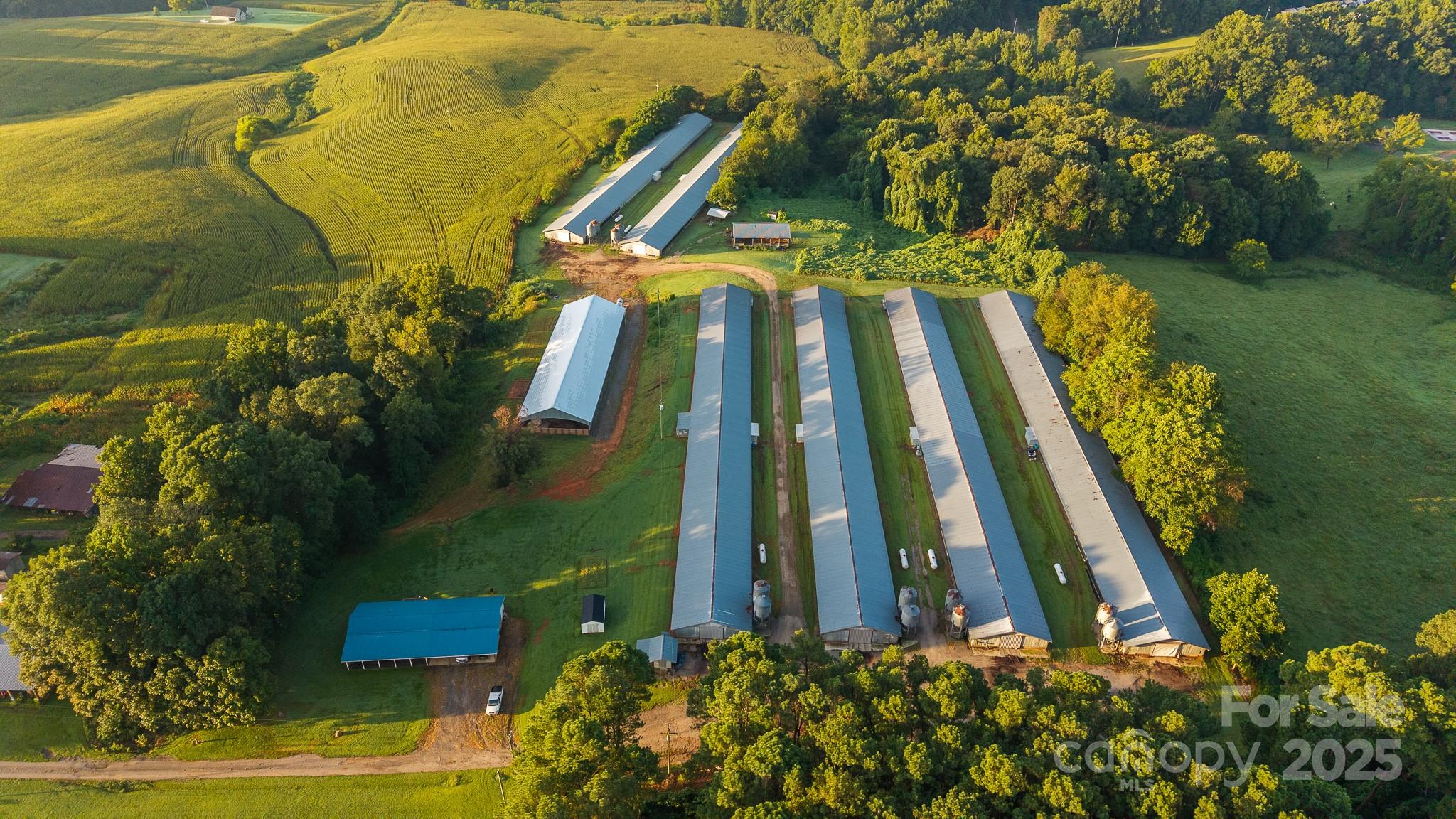 167 Buck Hollow Trail — Ararat
