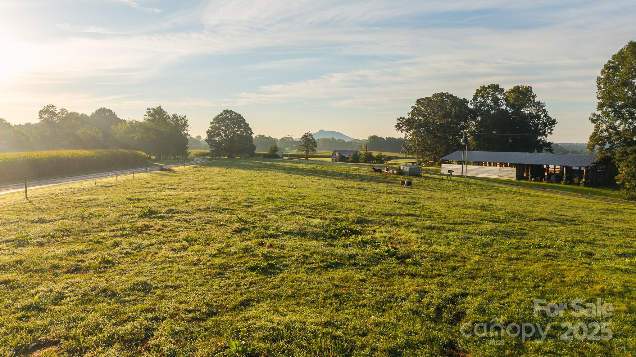 167 Buck Hollow Trail — Ararat