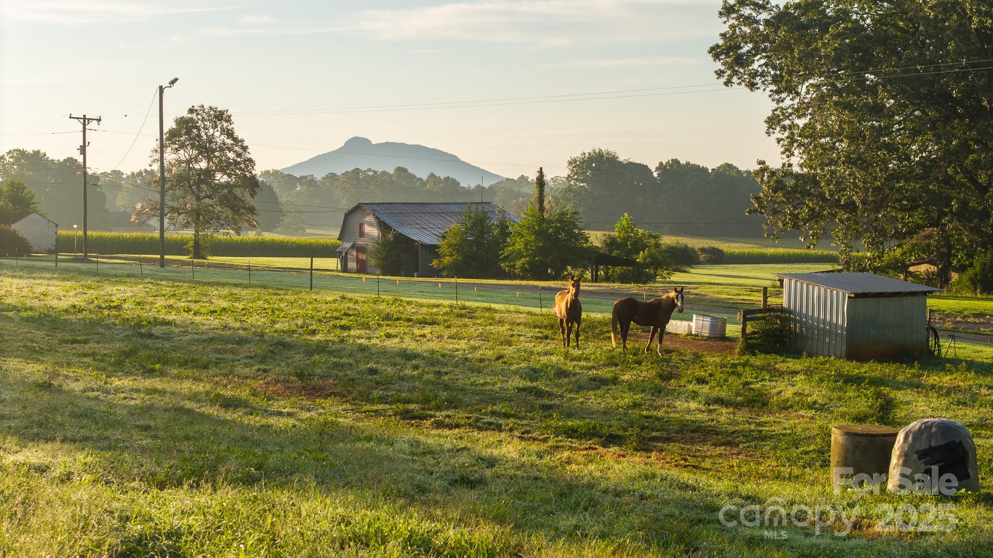 167 Buck Hollow Trail — Ararat
