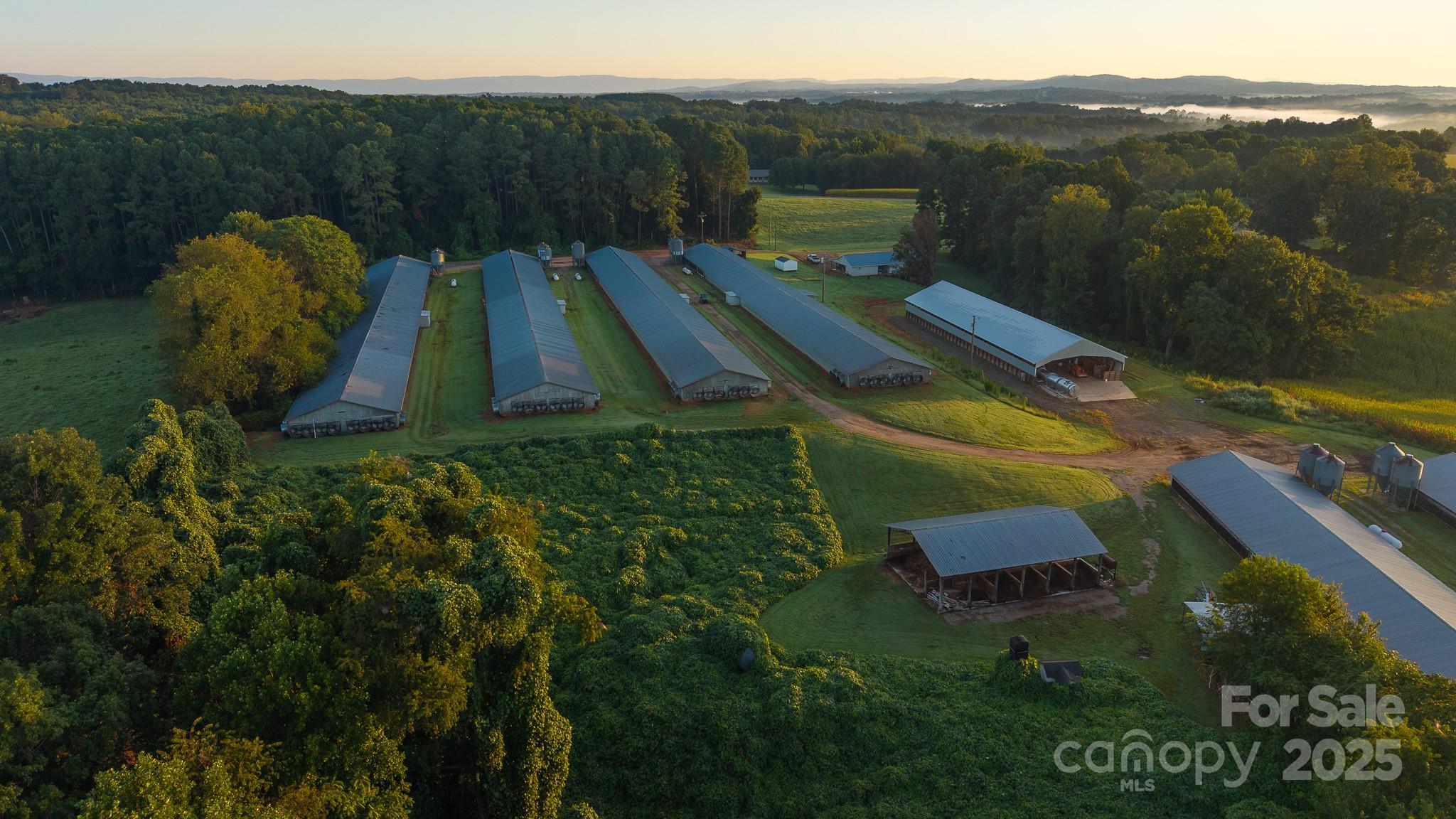 167 Buck Hollow Trail — Ararat