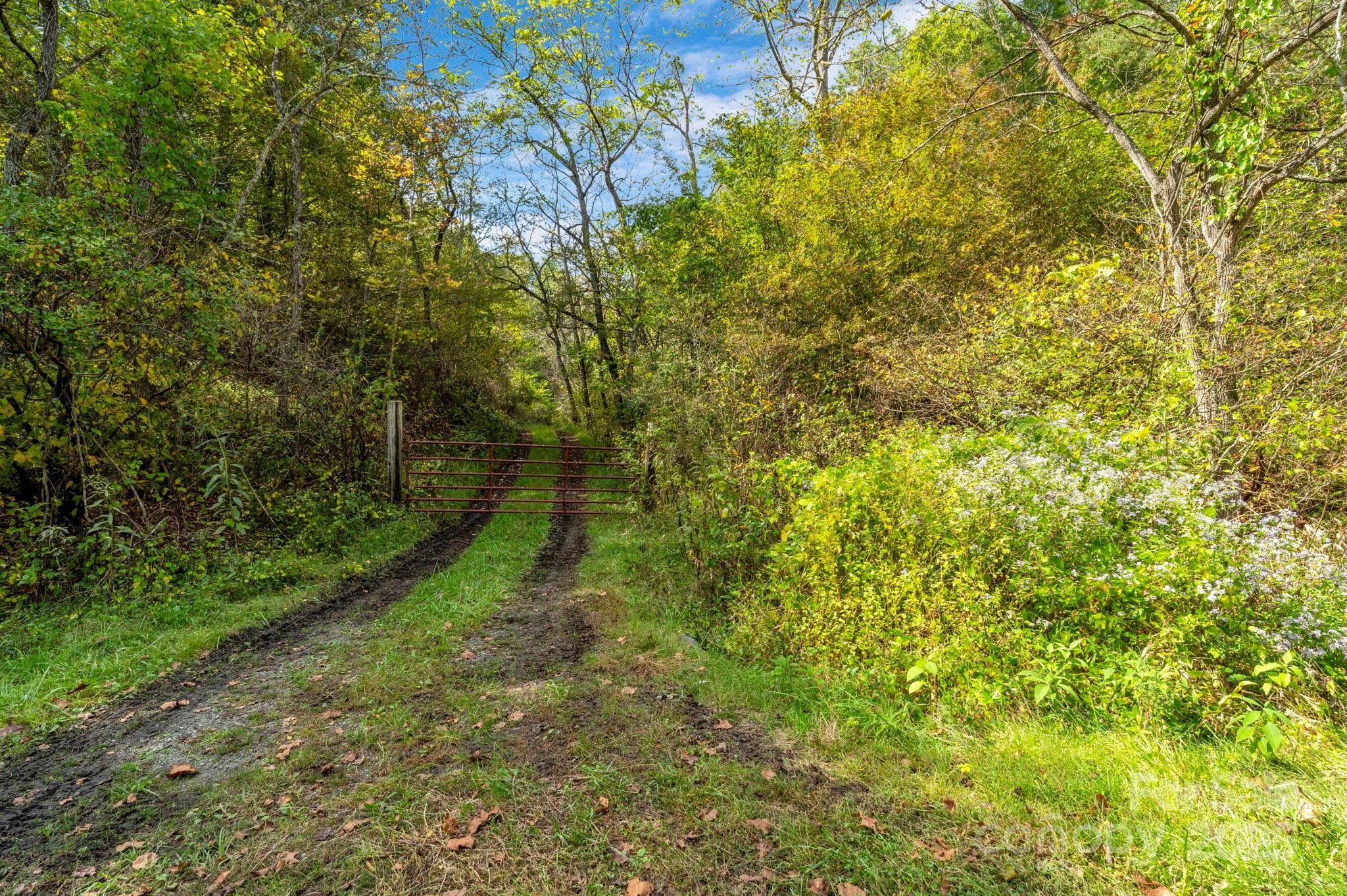 3319 Bull Creek Road — Marshall