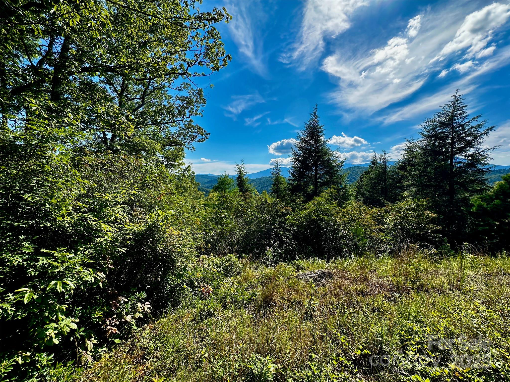 807 Pine Tree Road — Spruce Pine