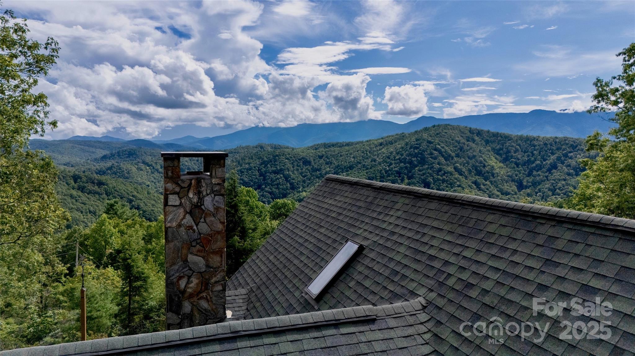 807 Pine Tree Road — Spruce Pine