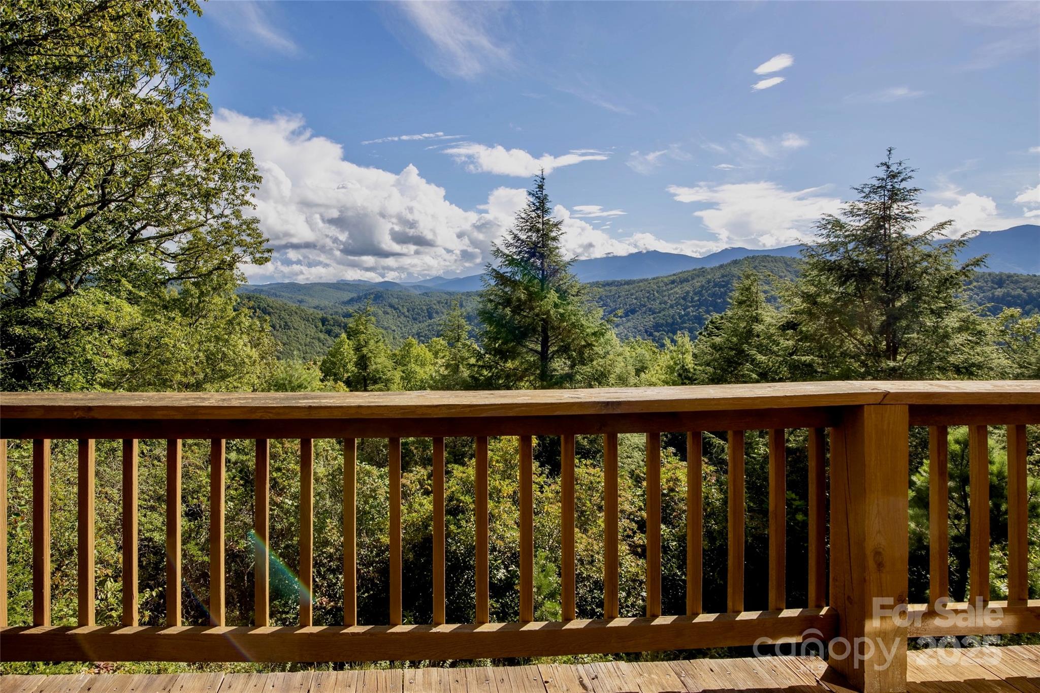 807 Pine Tree Road — Spruce Pine