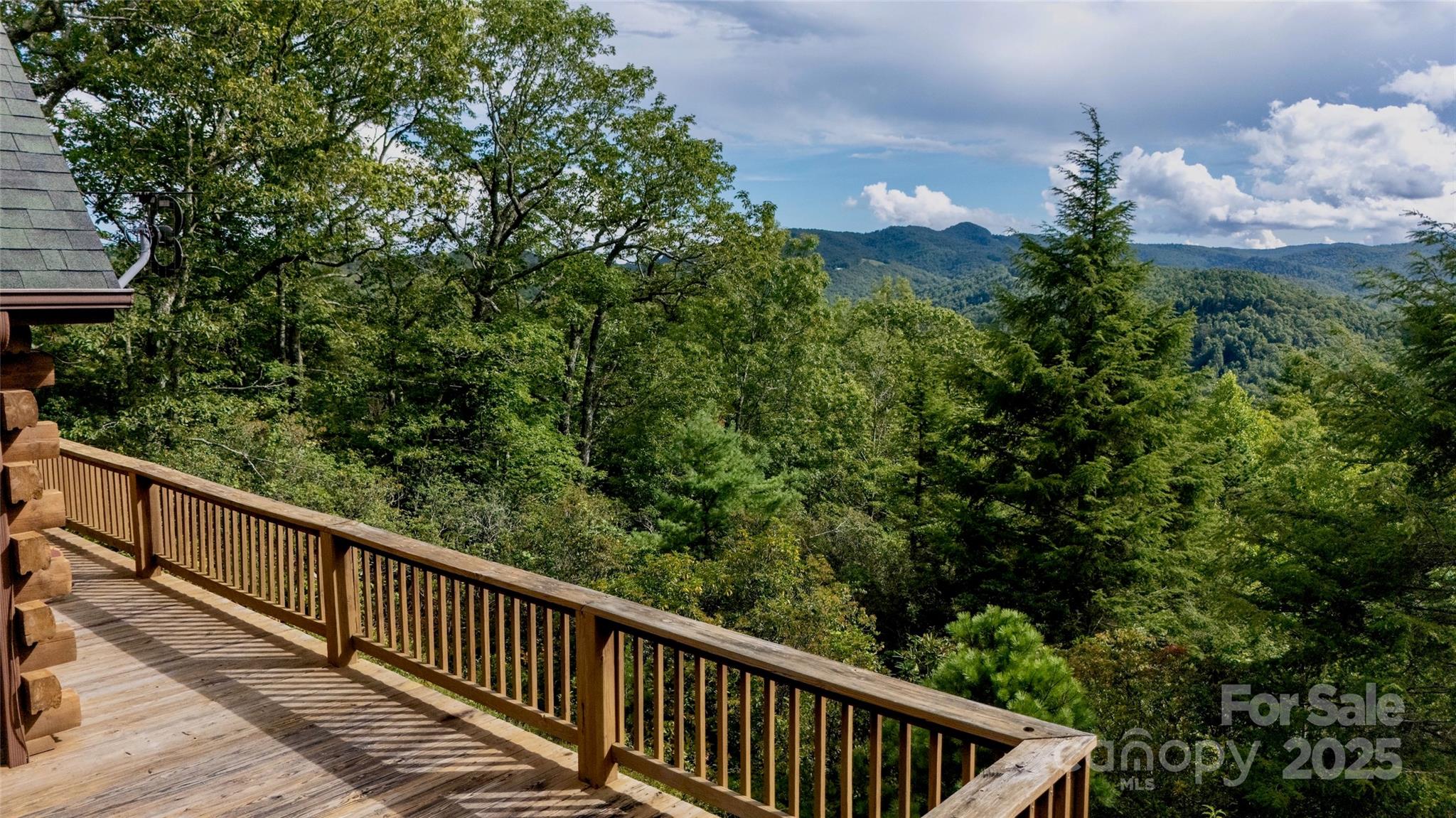 807 Pine Tree Road — Spruce Pine