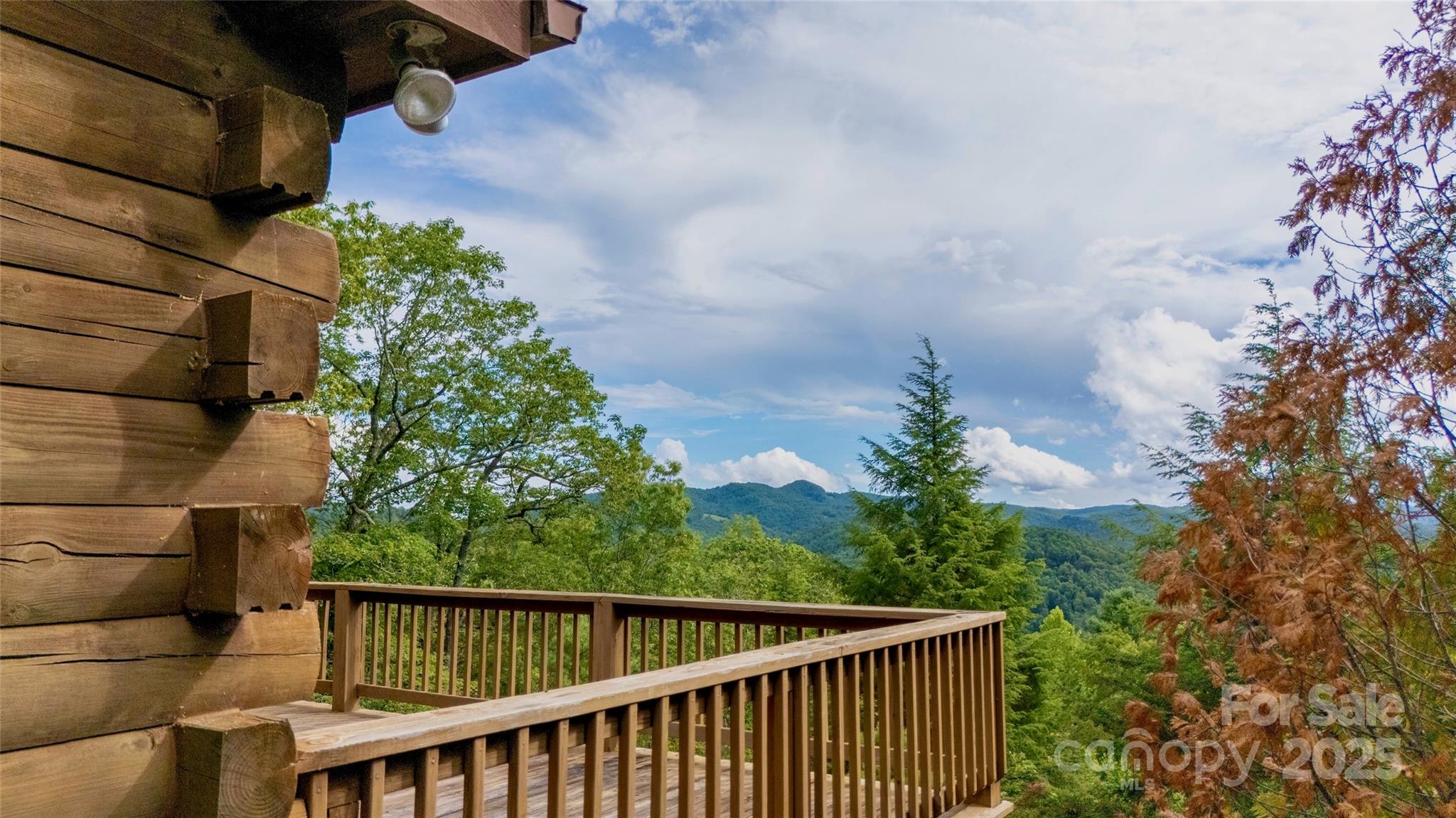 807 Pine Tree Road — Spruce Pine
