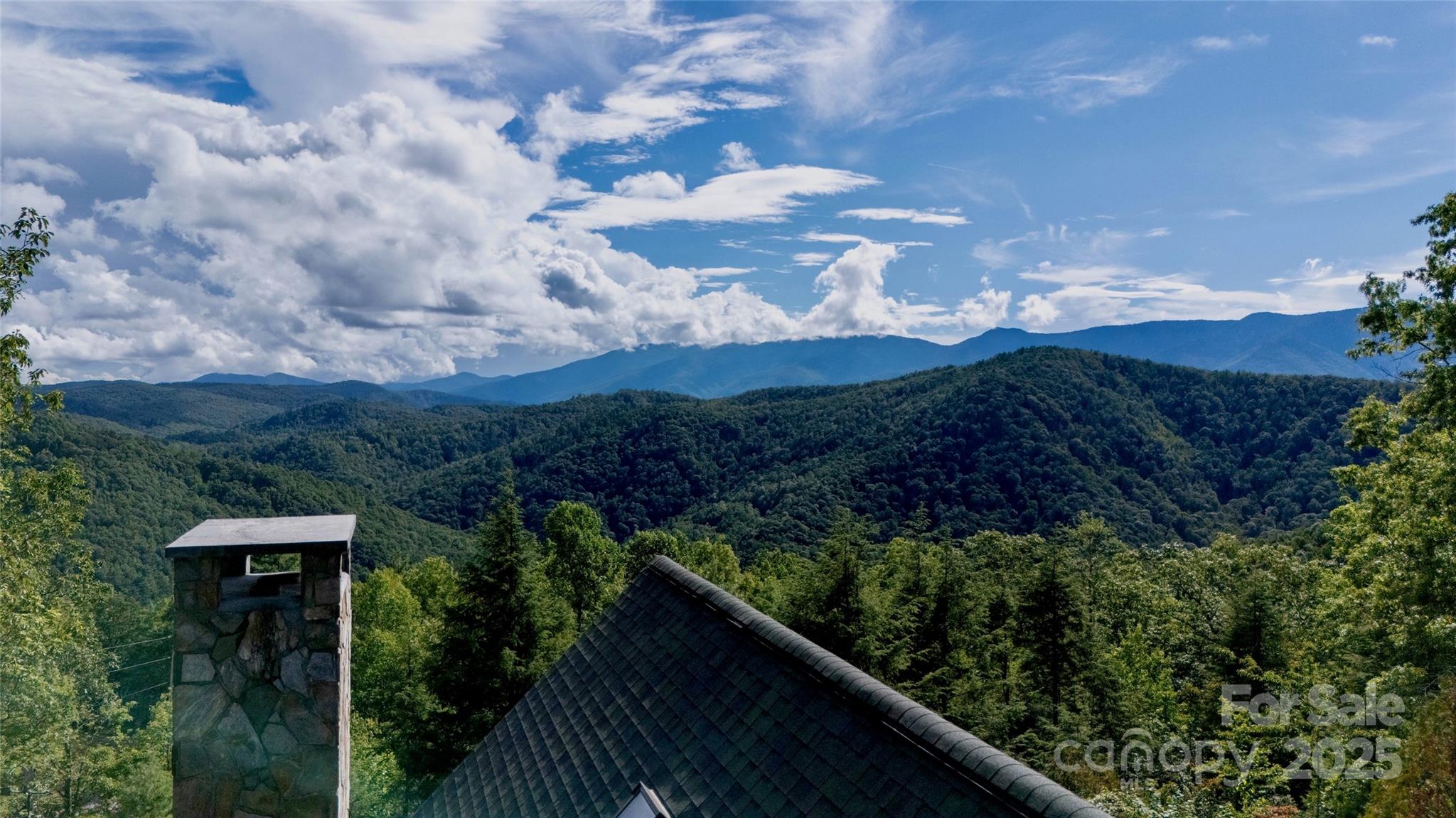 807 Pine Tree Road — Spruce Pine