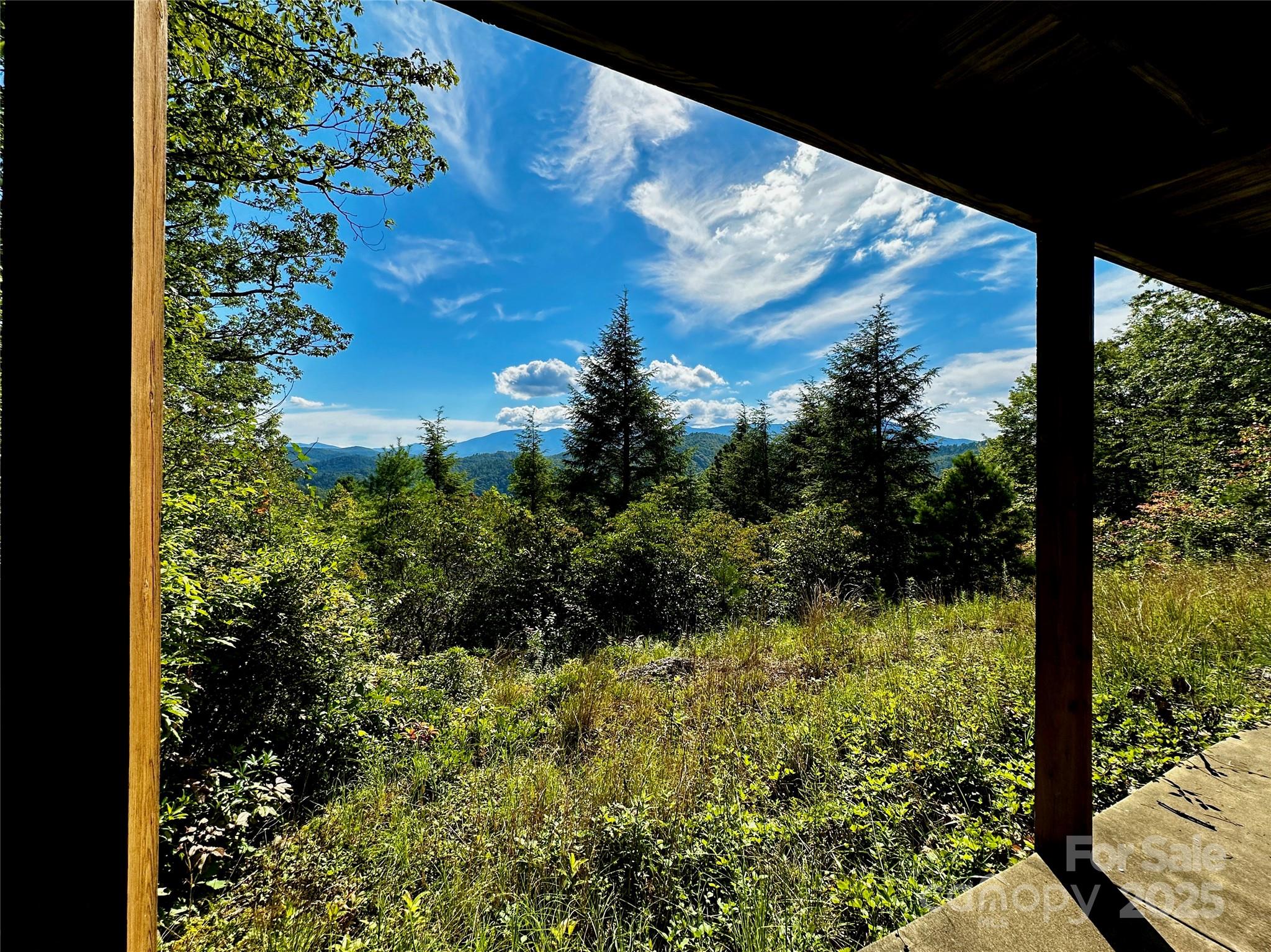 807 Pine Tree Road — Spruce Pine