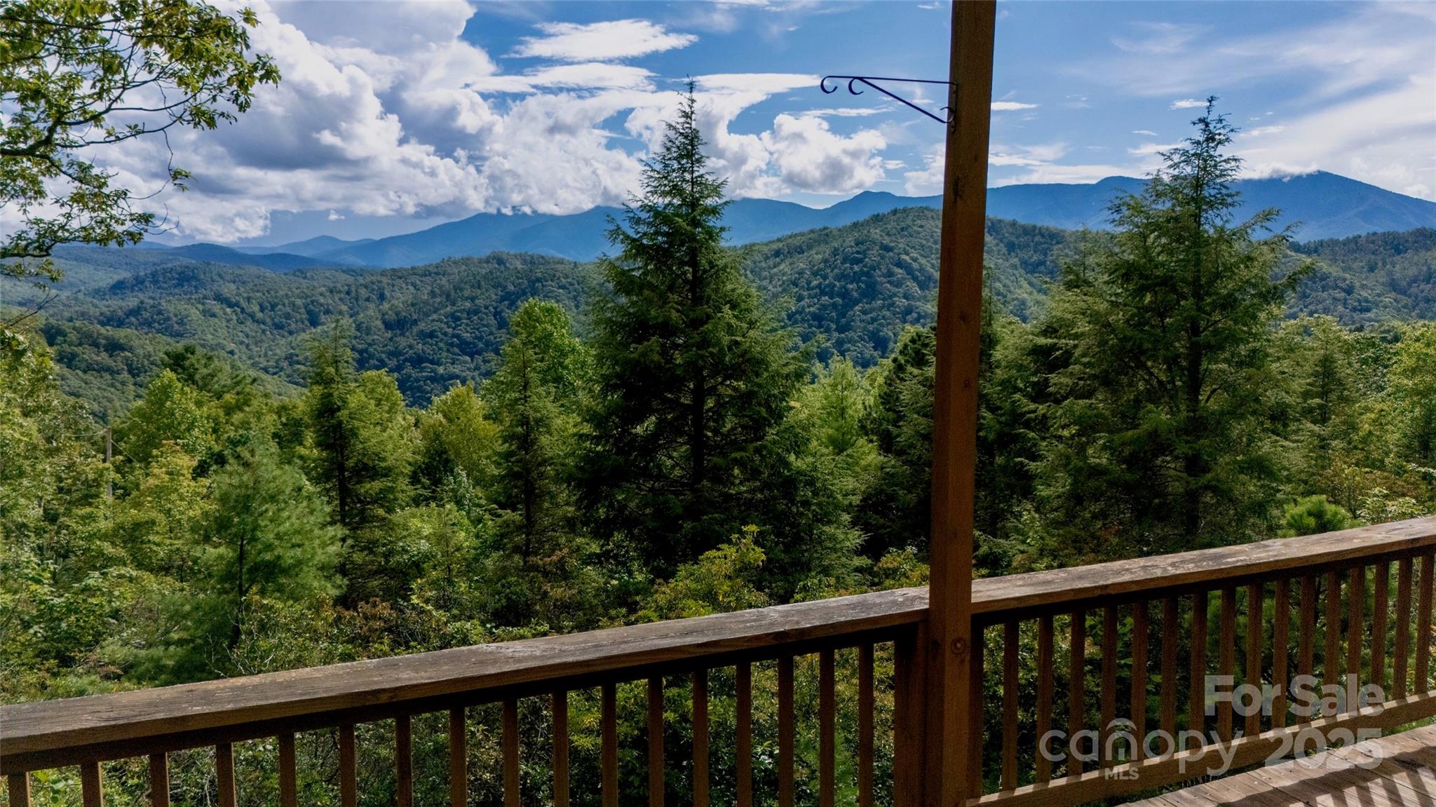807 Pine Tree Road — Spruce Pine