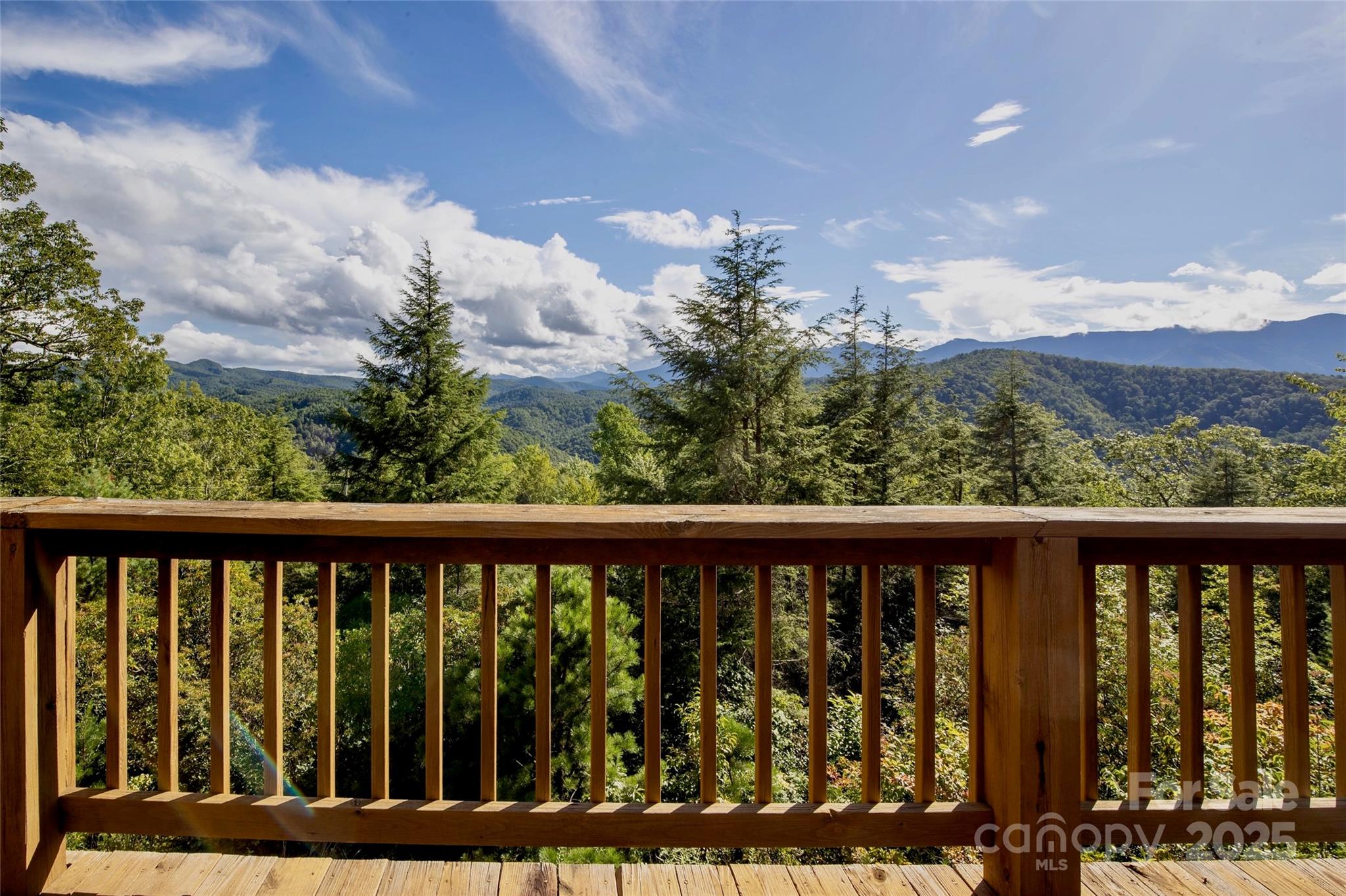807 Pine Tree Road — Spruce Pine