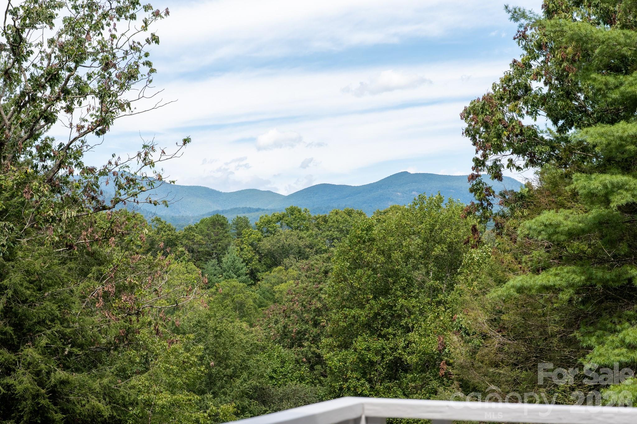 50 Springwood Drive — Asheville