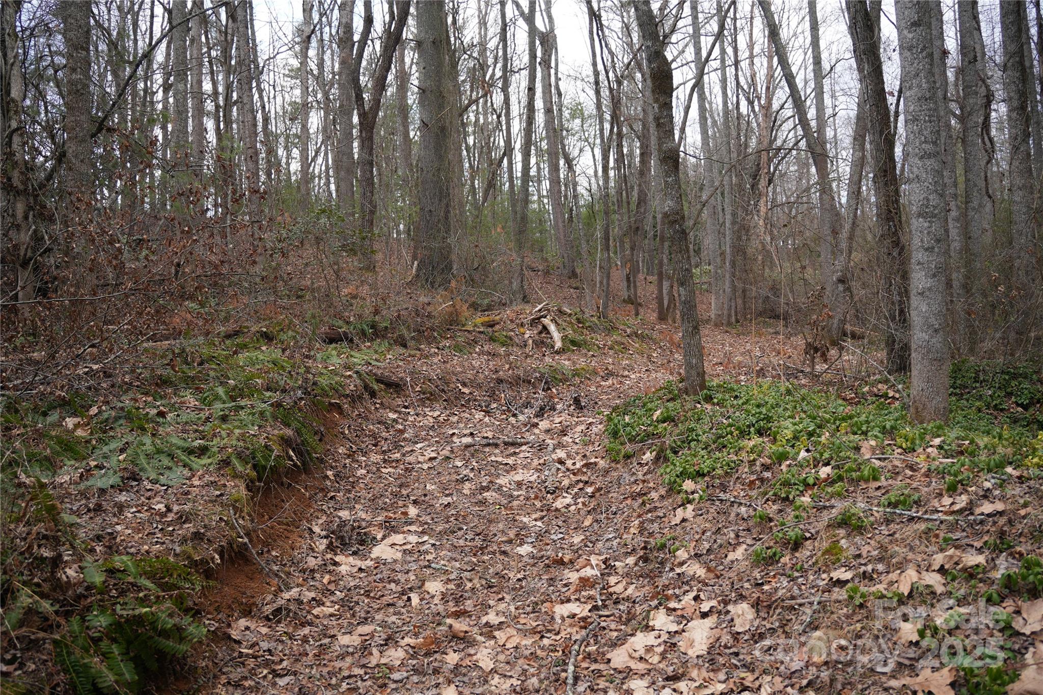 741 Glenn Bridge Road — Arden